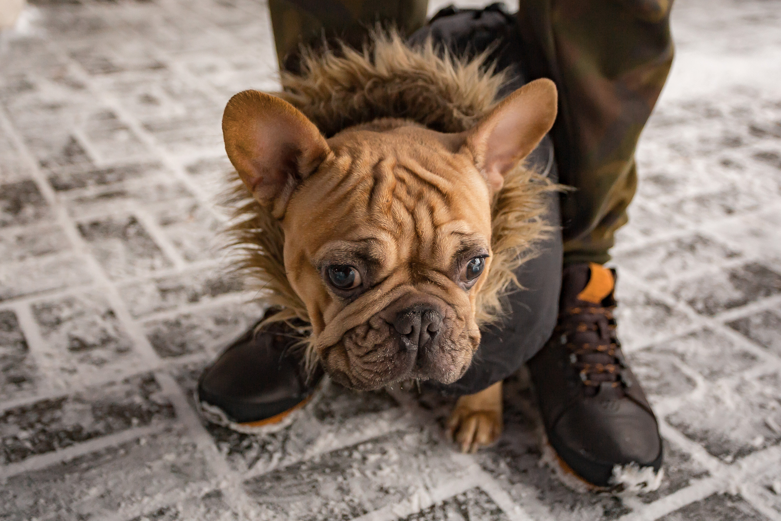 Разгуляй. Фотографиня Мария Дикова