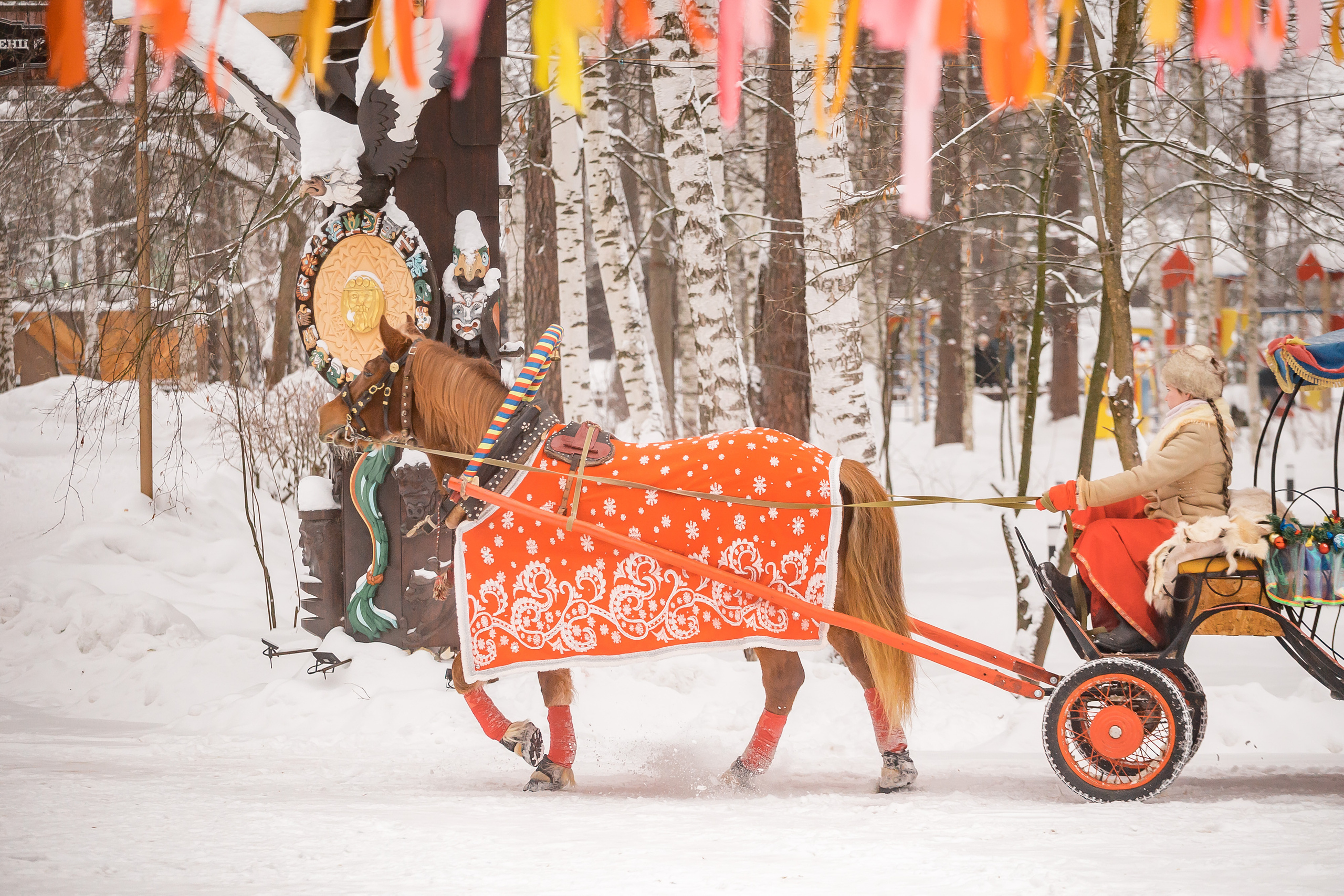 Разгуляй. Фотографиня Мария Дикова