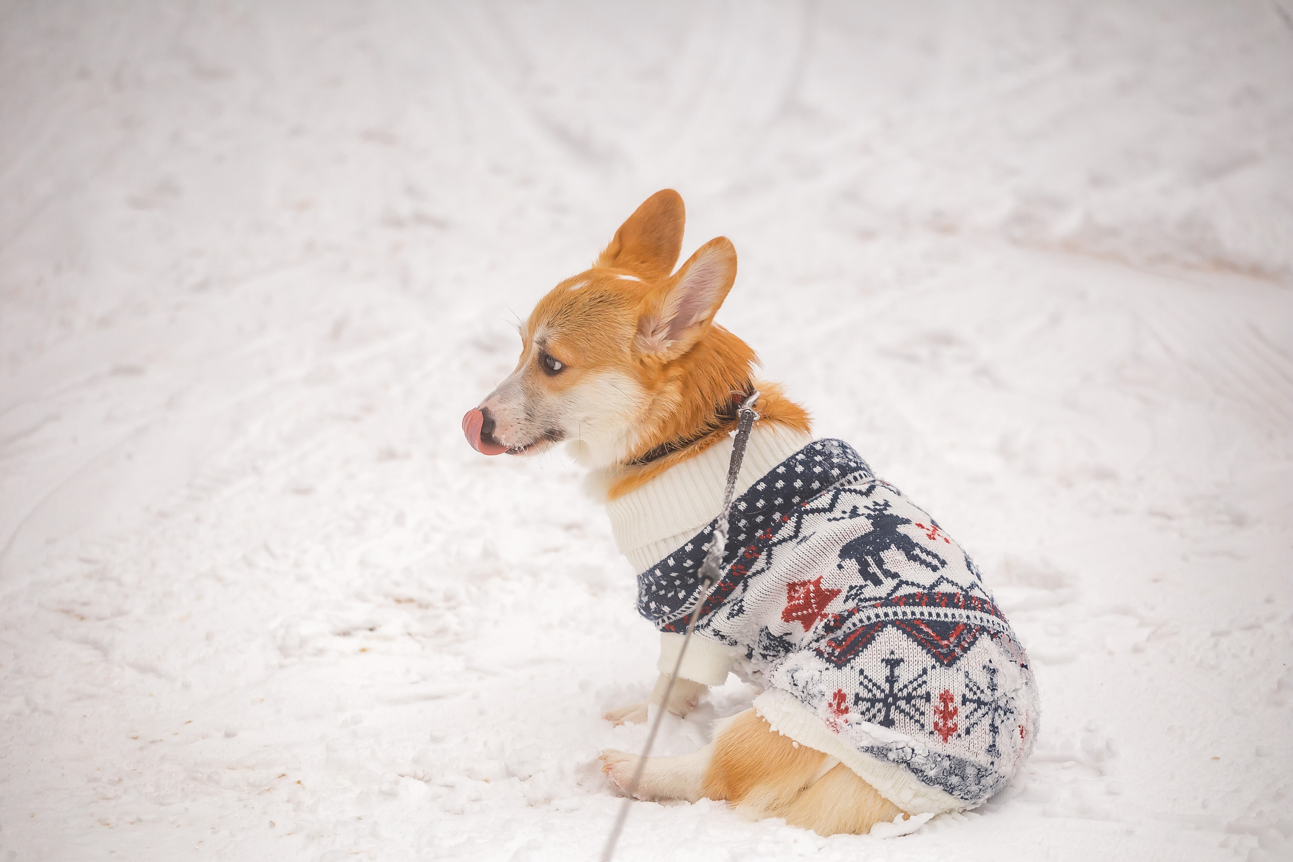 Разгуляй. Фотографиня Мария Дикова
