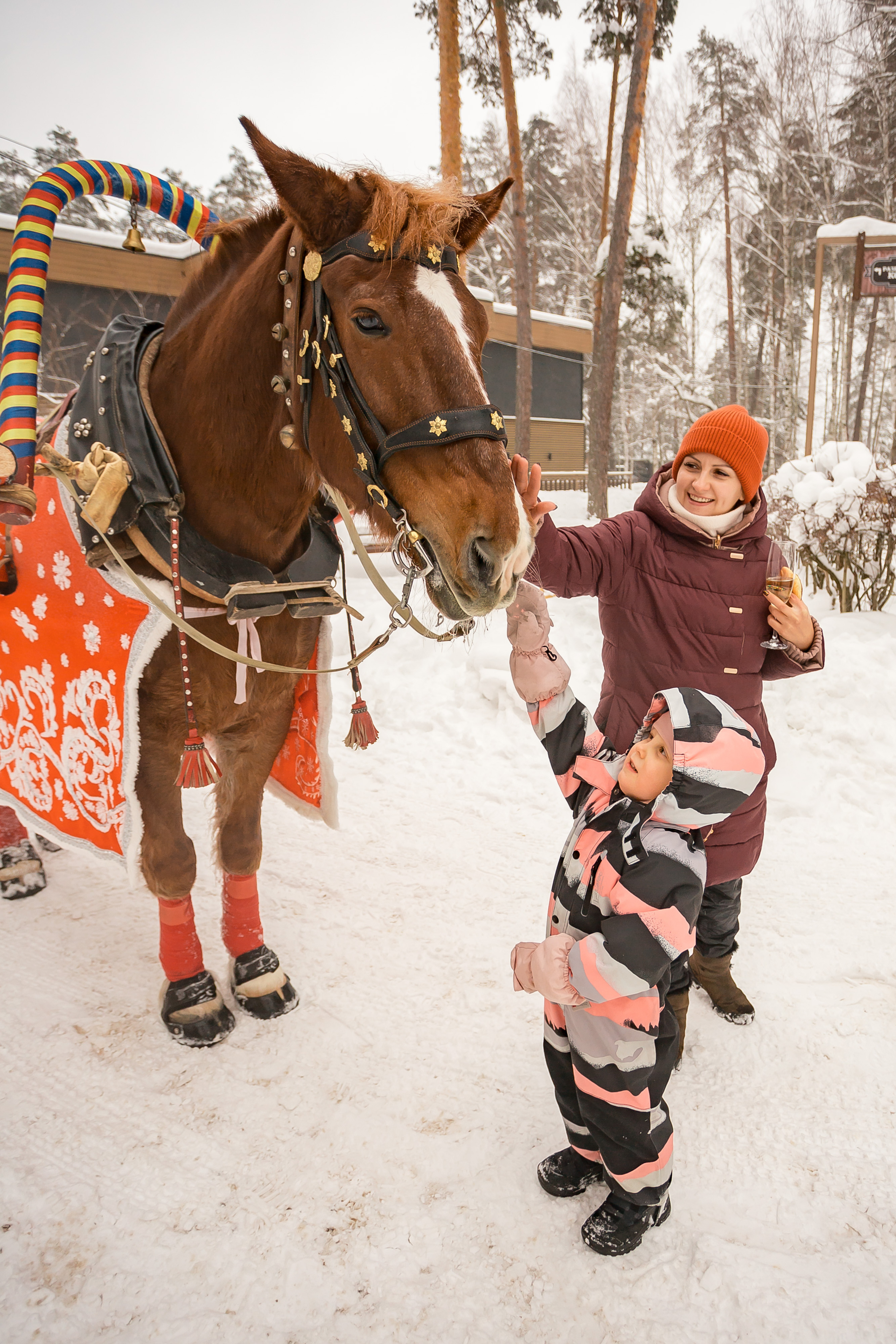 Разгуляй. Фотографиня Мария Дикова