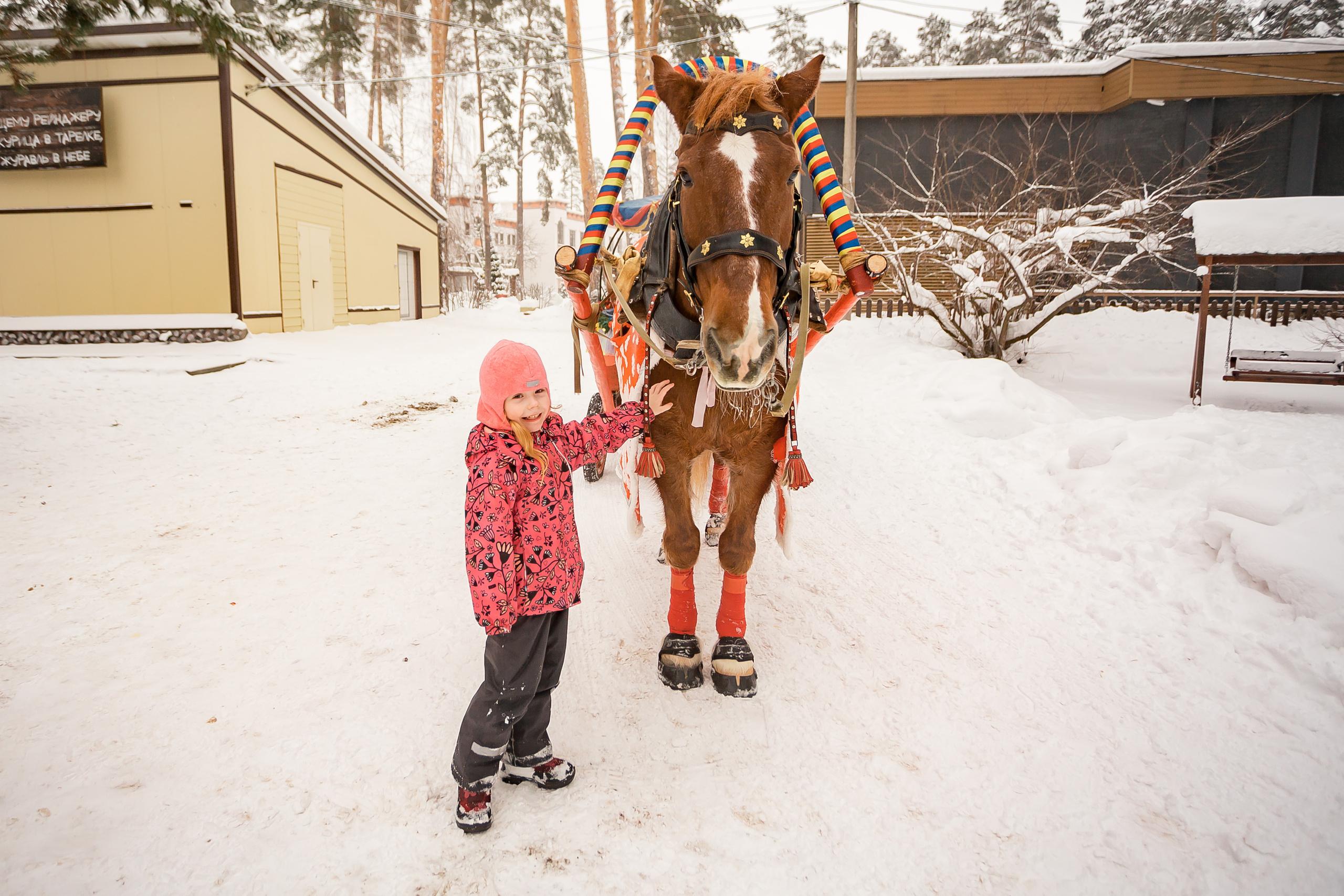 Разгуляй. Фотографиня Мария Дикова