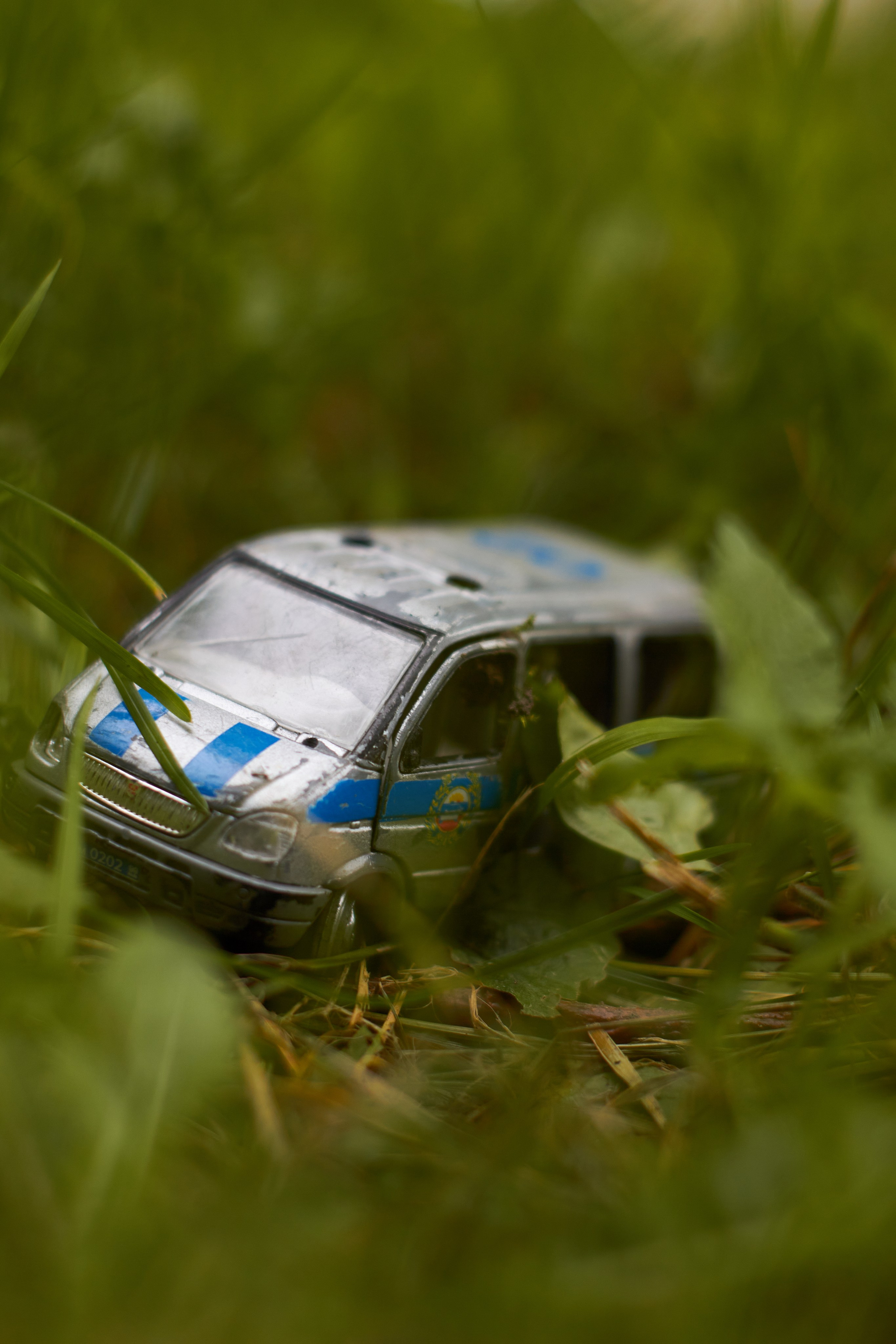 Вокруг. Фотограф Сергей Яркин