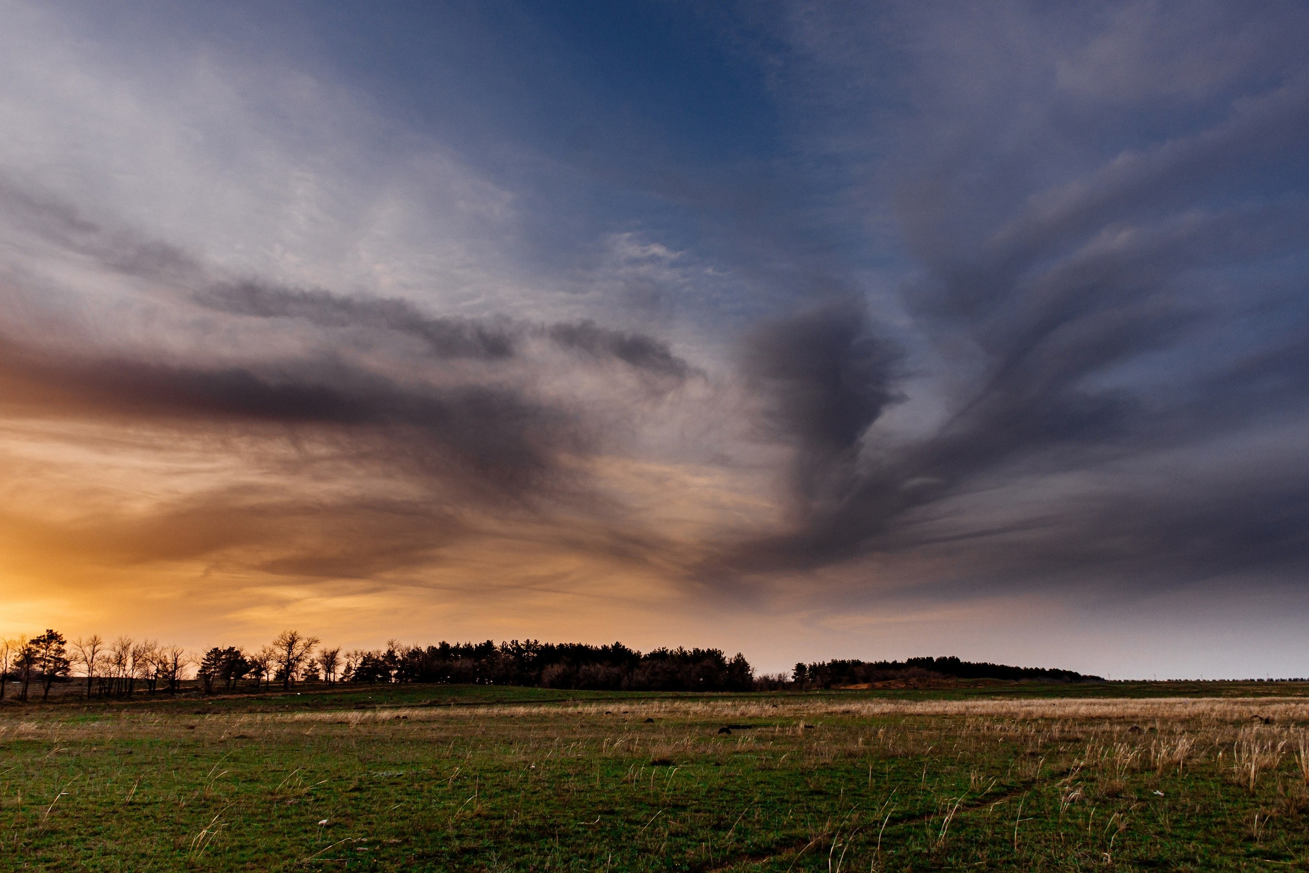 небо, закат, степь, лес
