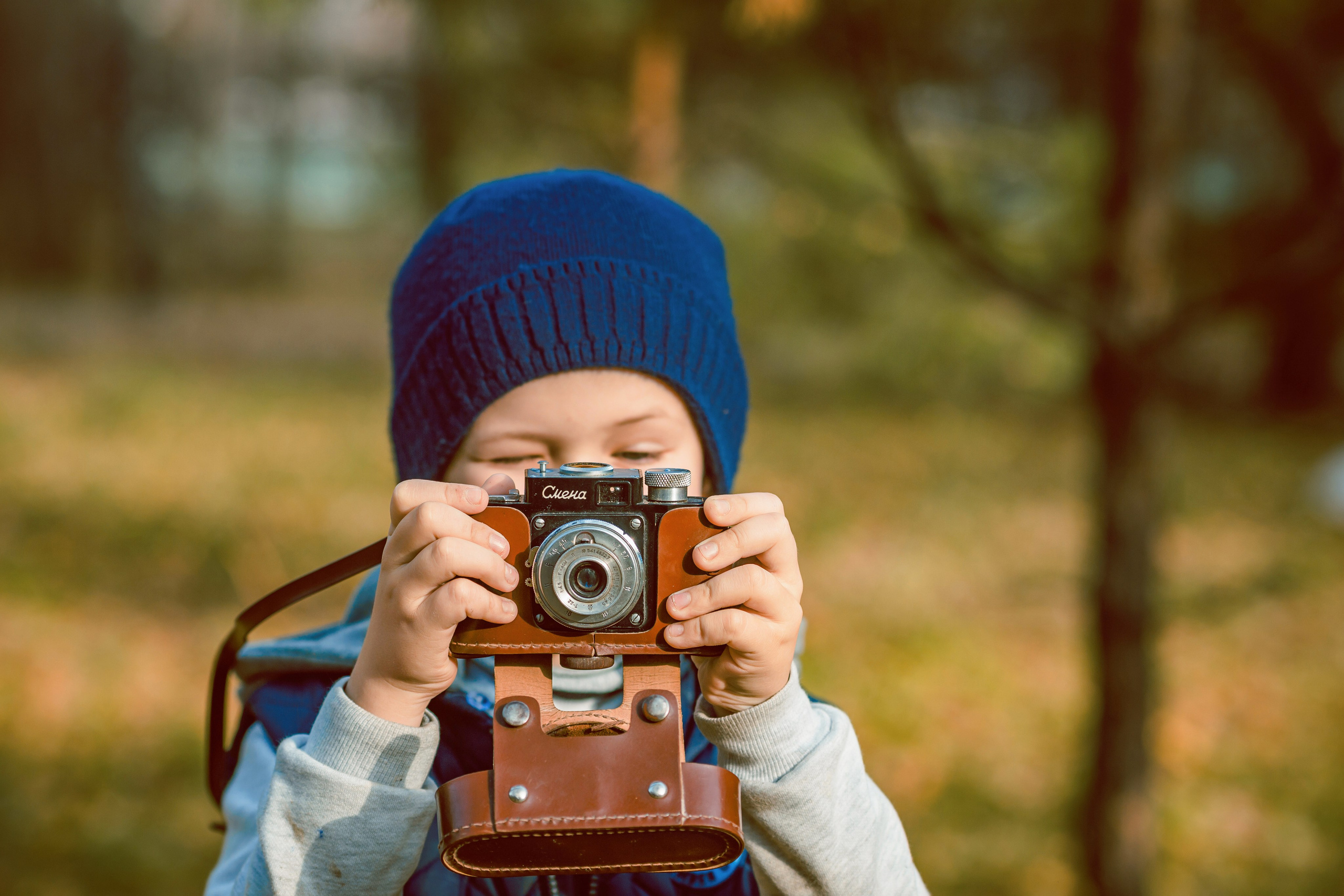 Осенняя прогулка. Главная