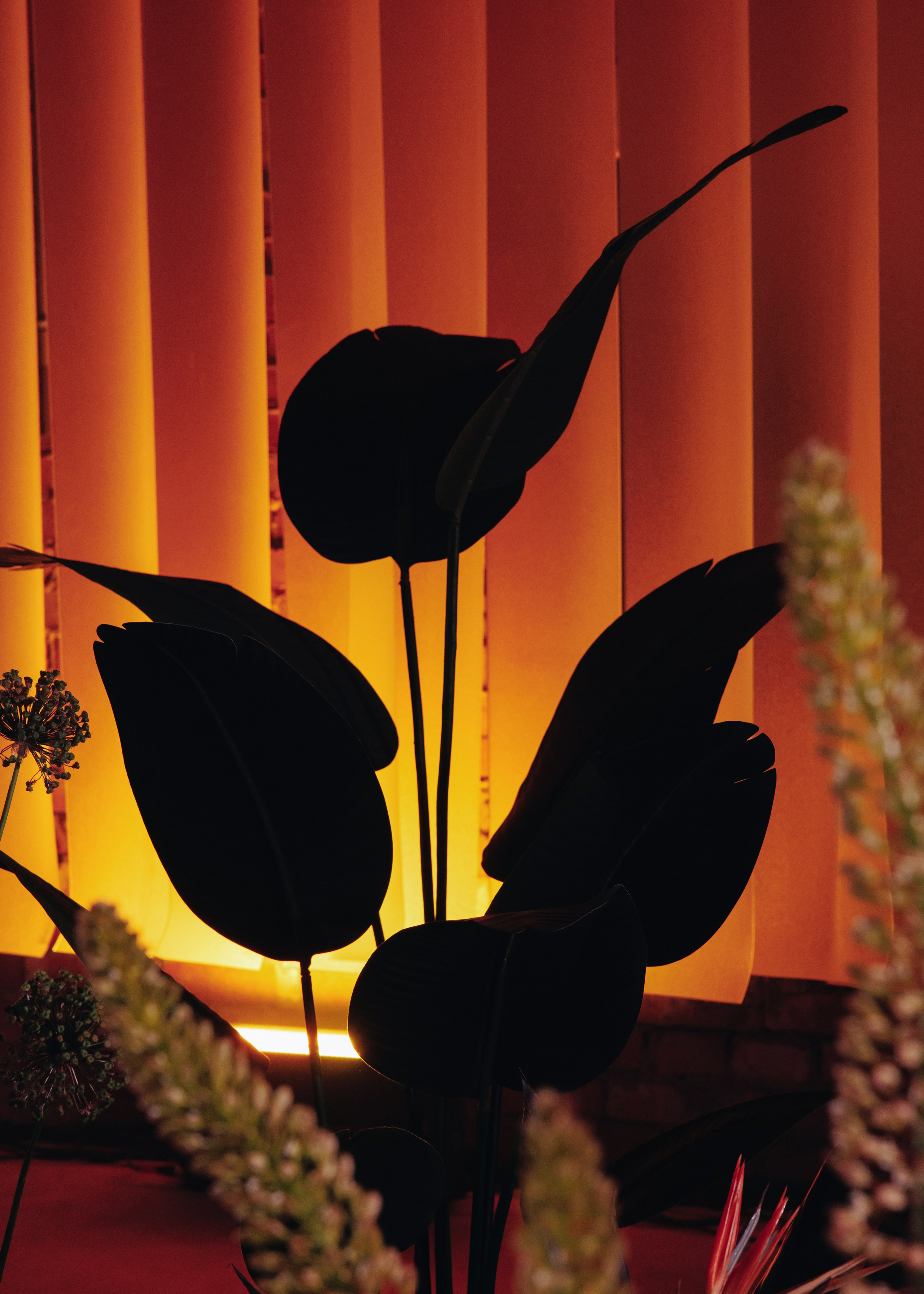 @sladkayavataagency. Свадебный и репортажный фотограф в Москве Владимир Сергеев | Naysaikolo