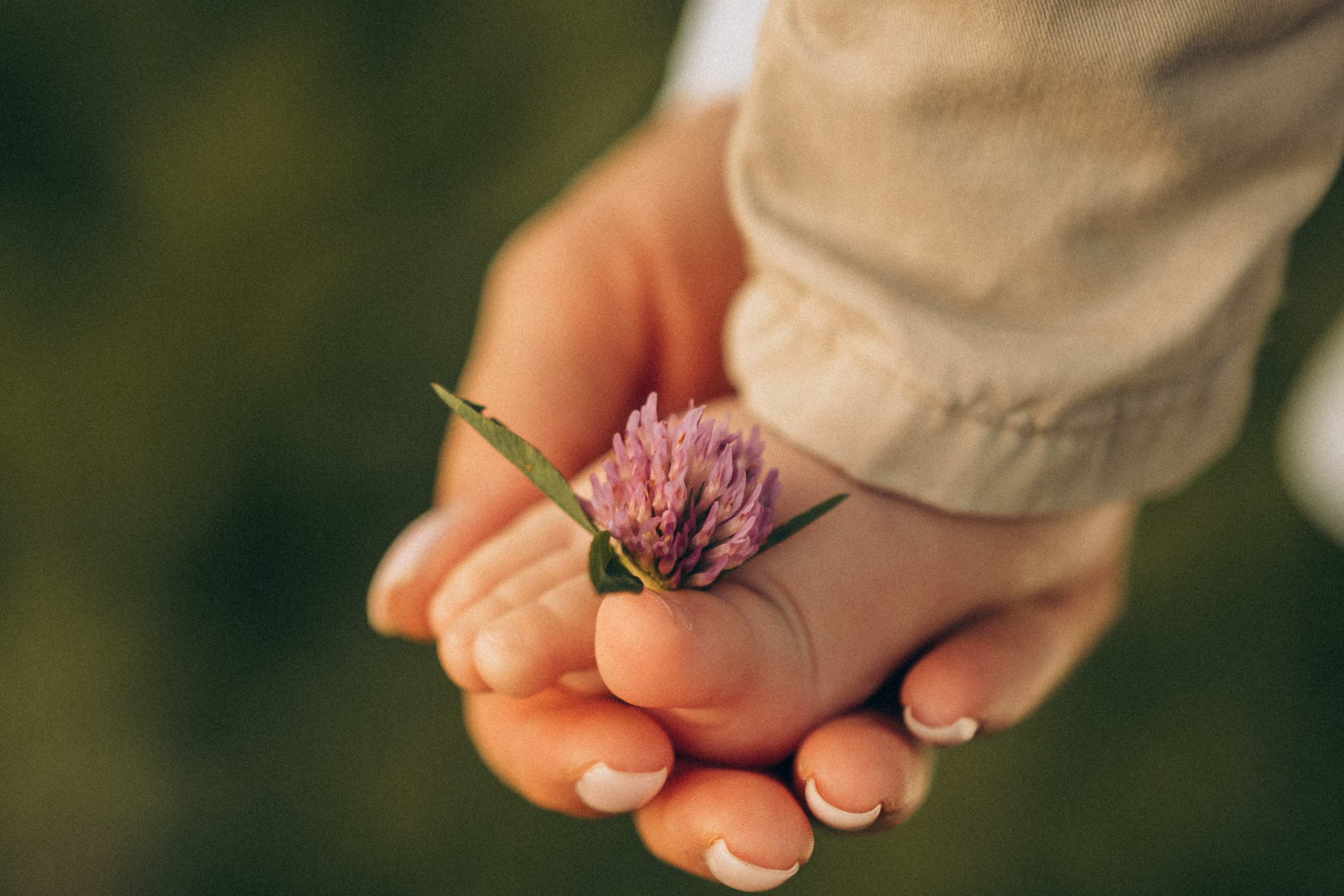 Летняя прогулка. Кристина Ветрова | ФОТОГРАФ | Москва