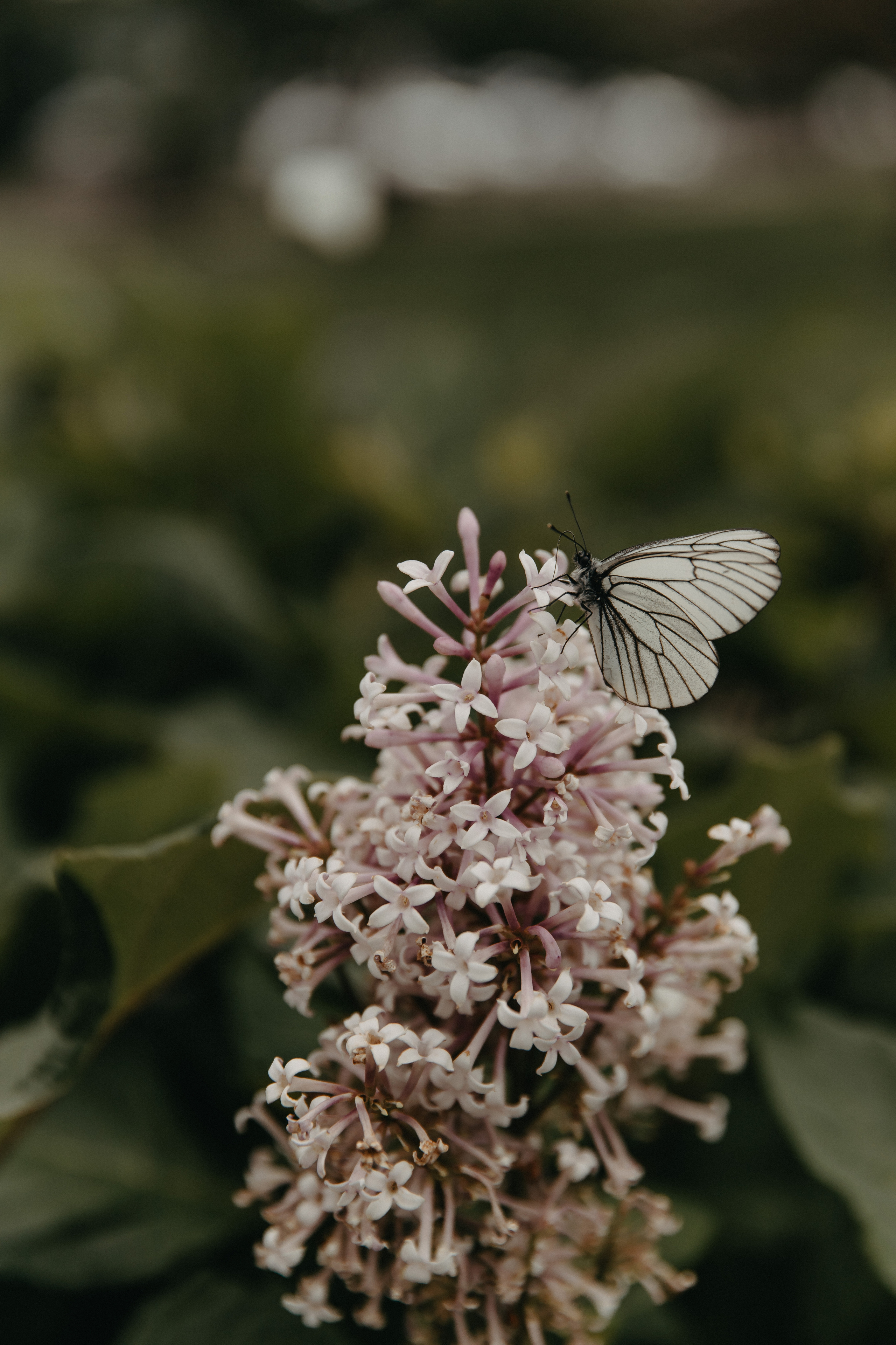 Валерий и Юлия. Свадебный и Семейный фотограф по всему миру Анна Фёдорова