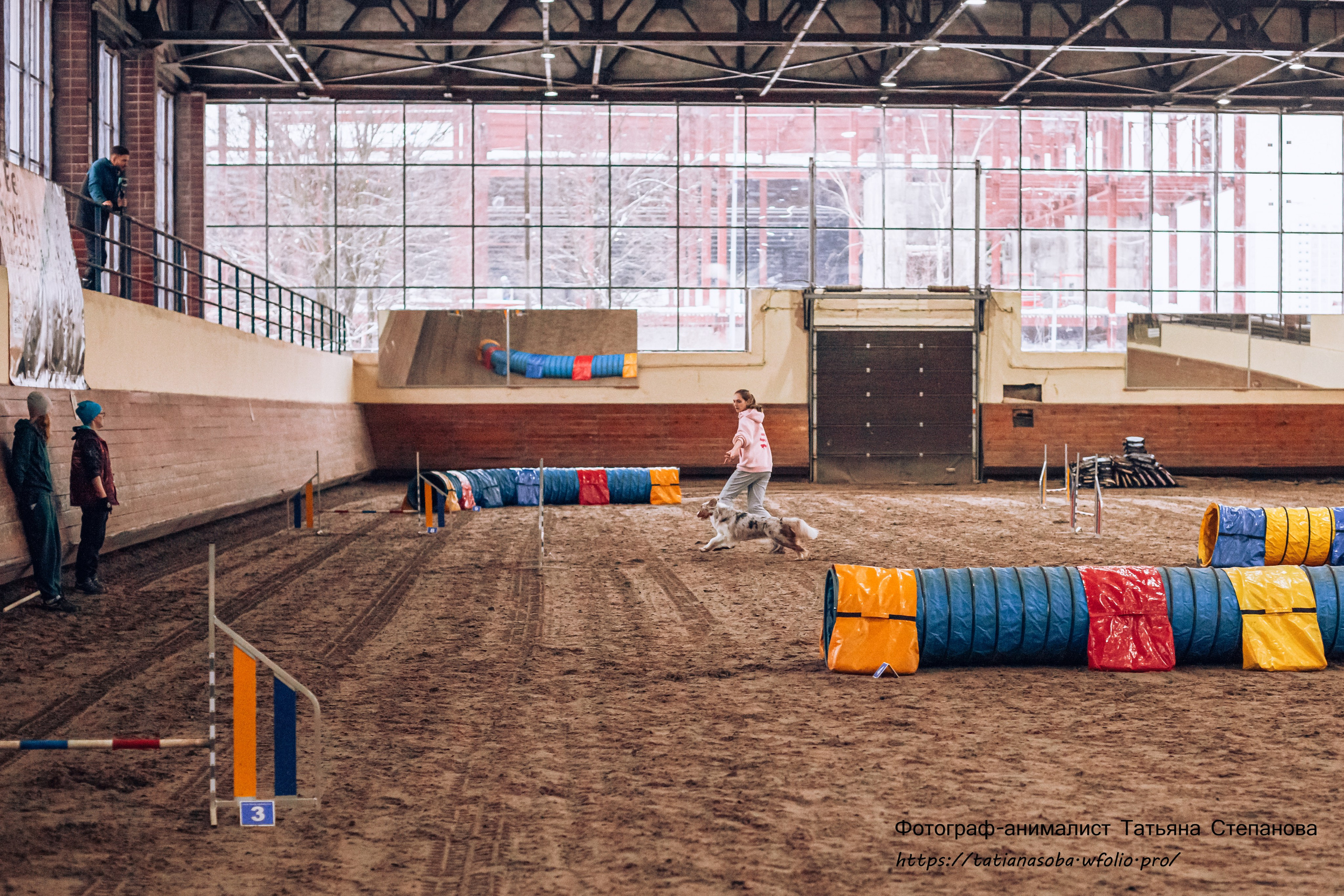 Соревнования по Аджилити 25.02.2024. Фотограф-анималист Татьяна Степанова