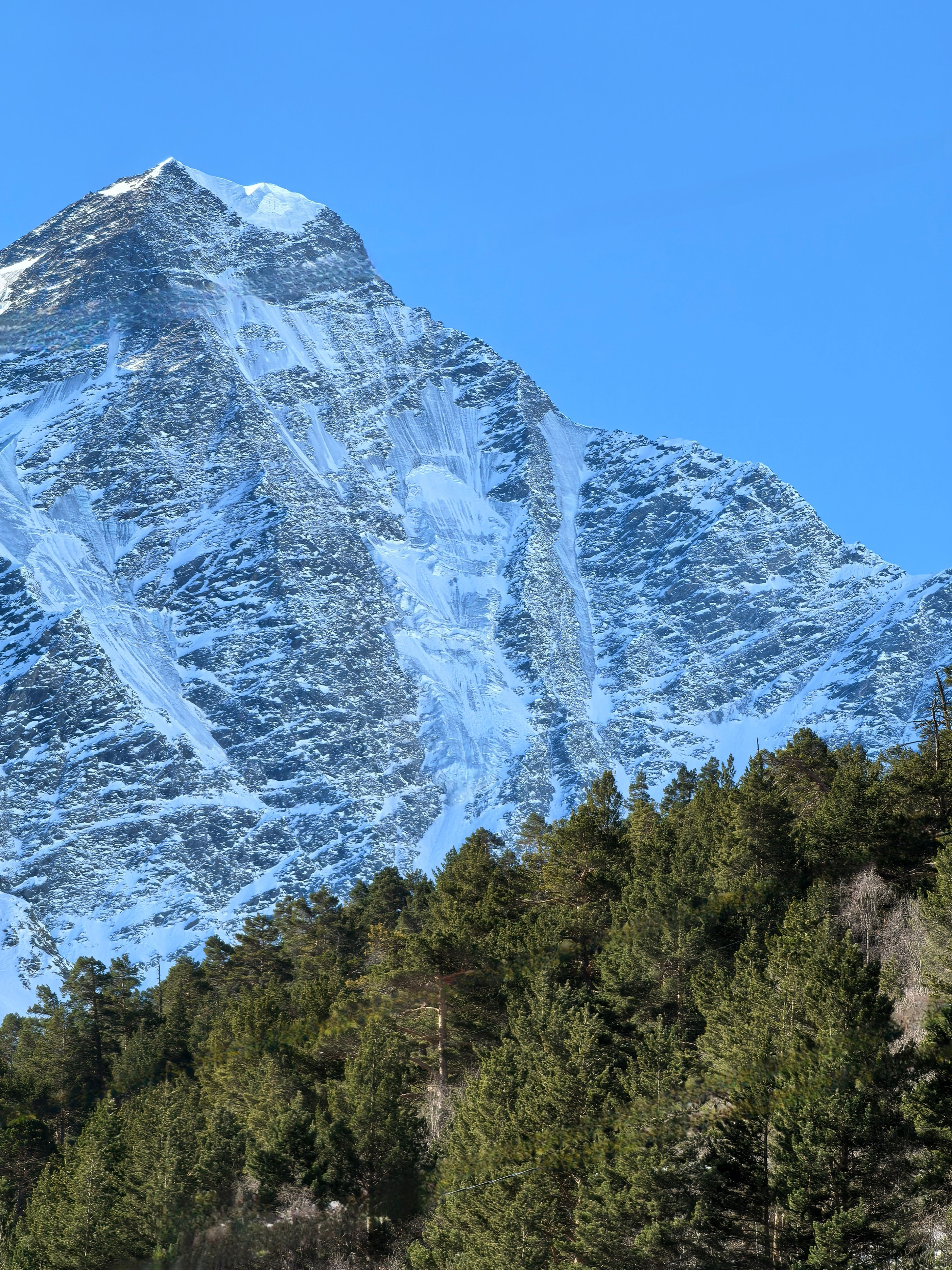 Организация активного отдыха. Горнолыжные туры. Сплавы