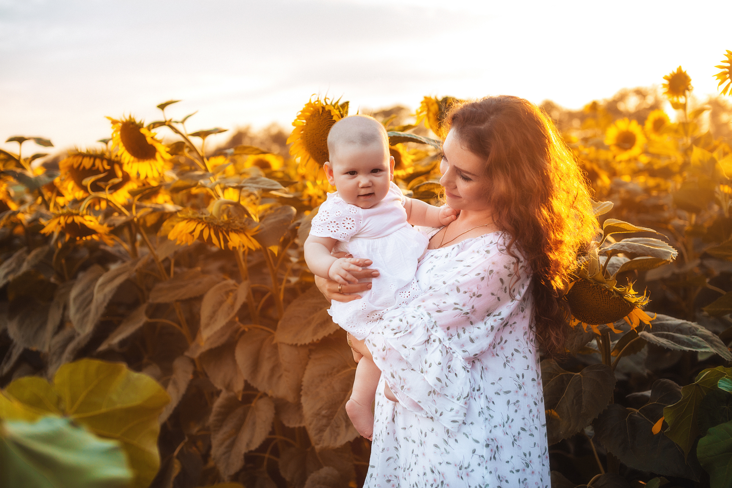 Семейная в подсолнухах. Свадебный и семейный фотограф/видеограф в Краснодаре Наталья Осинская