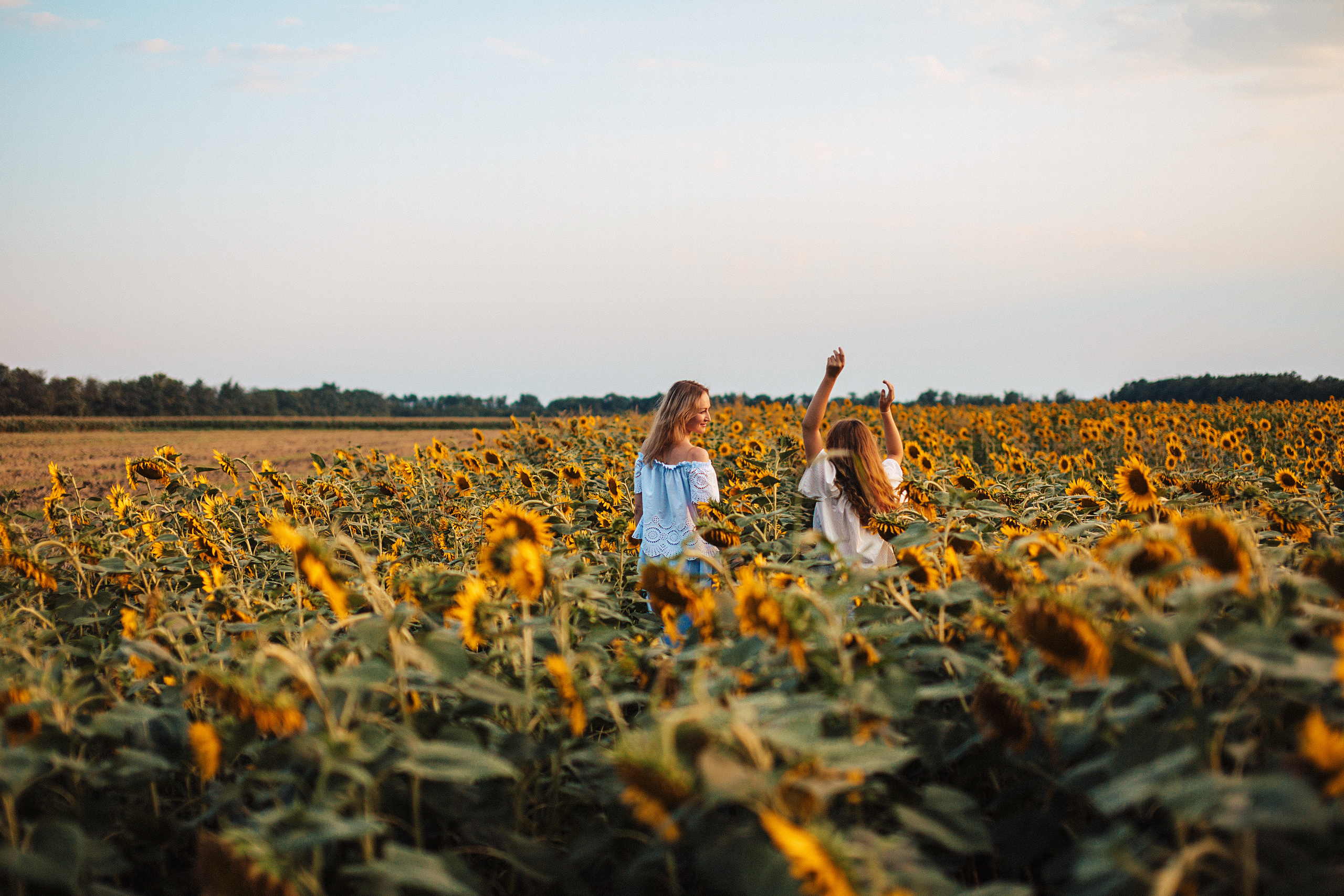 В подсолнухах. Свадебный и семейный фотограф/видеограф в Краснодаре Наталья Осинская