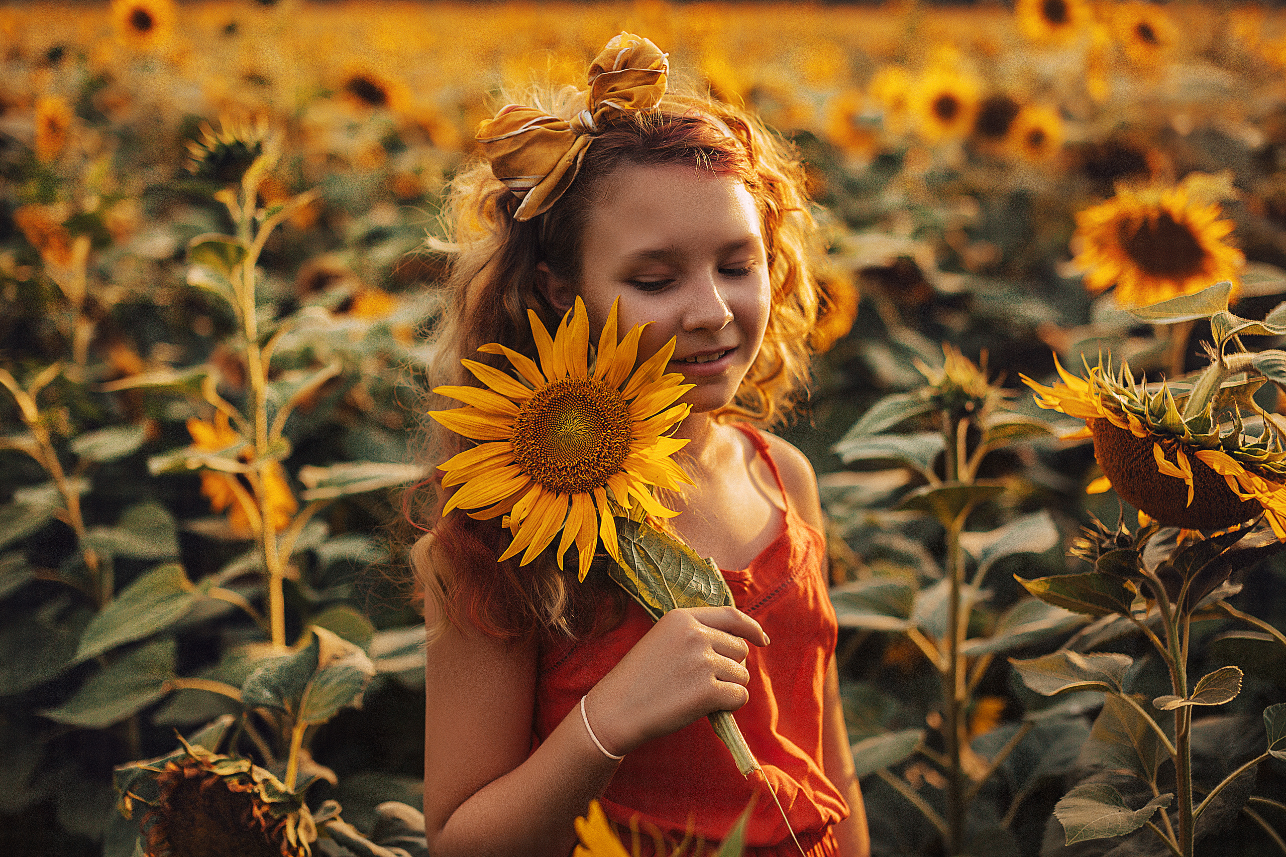В подсолнухах. Свадебный и семейный фотограф/видеограф в Краснодаре Наталья Осинская