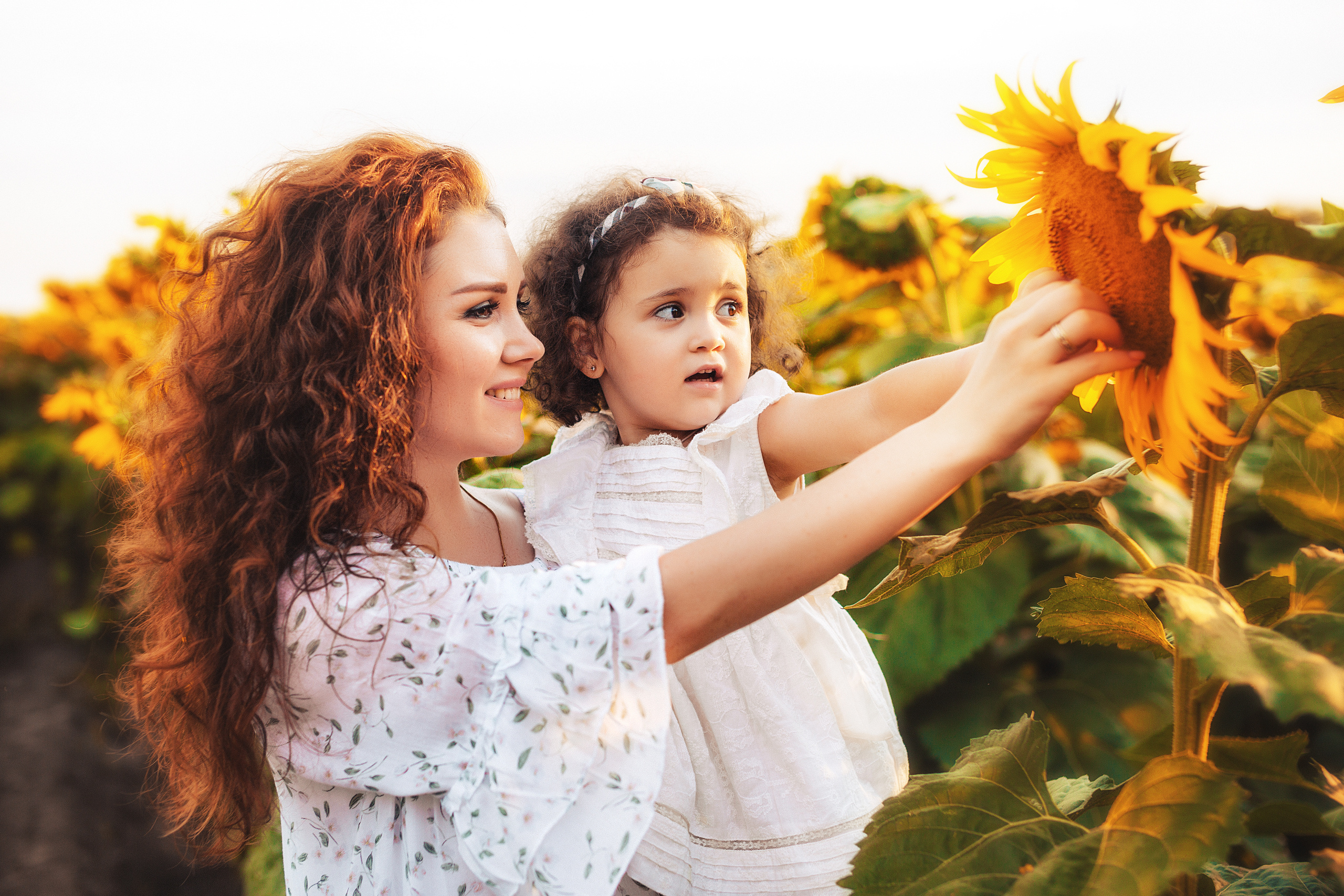 Семейная в подсолнухах. Свадебный и семейный фотограф/видеограф в Краснодаре Наталья Осинская