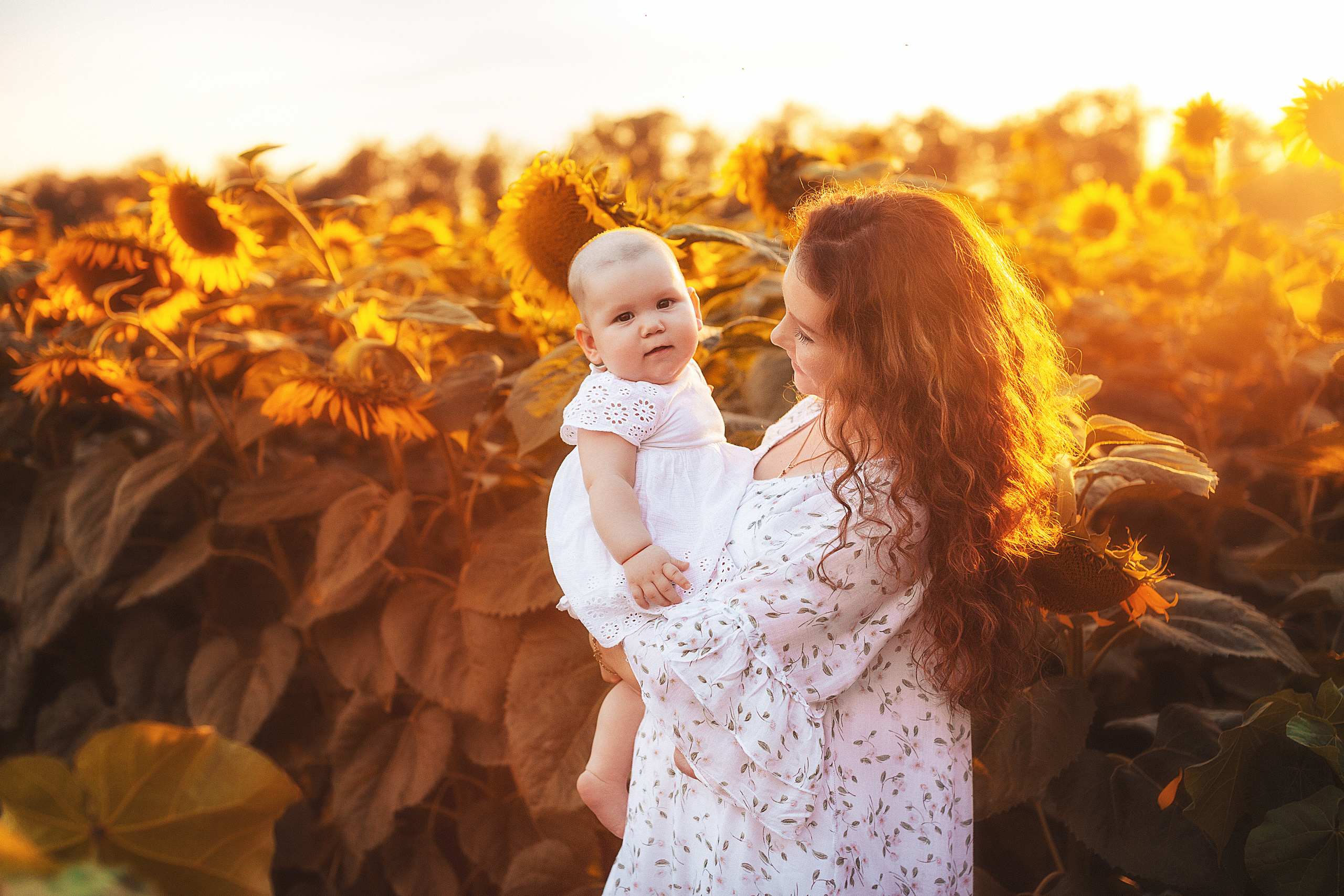 Семейная в подсолнухах. Свадебный и семейный фотограф/видеограф в Краснодаре Наталья Осинская