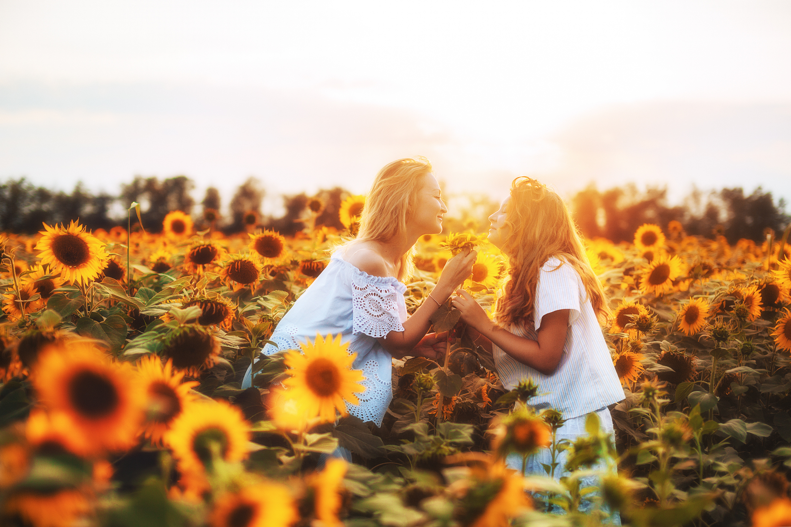 В подсолнухах. Свадебный и семейный фотограф/видеограф в Краснодаре Наталья Осинская