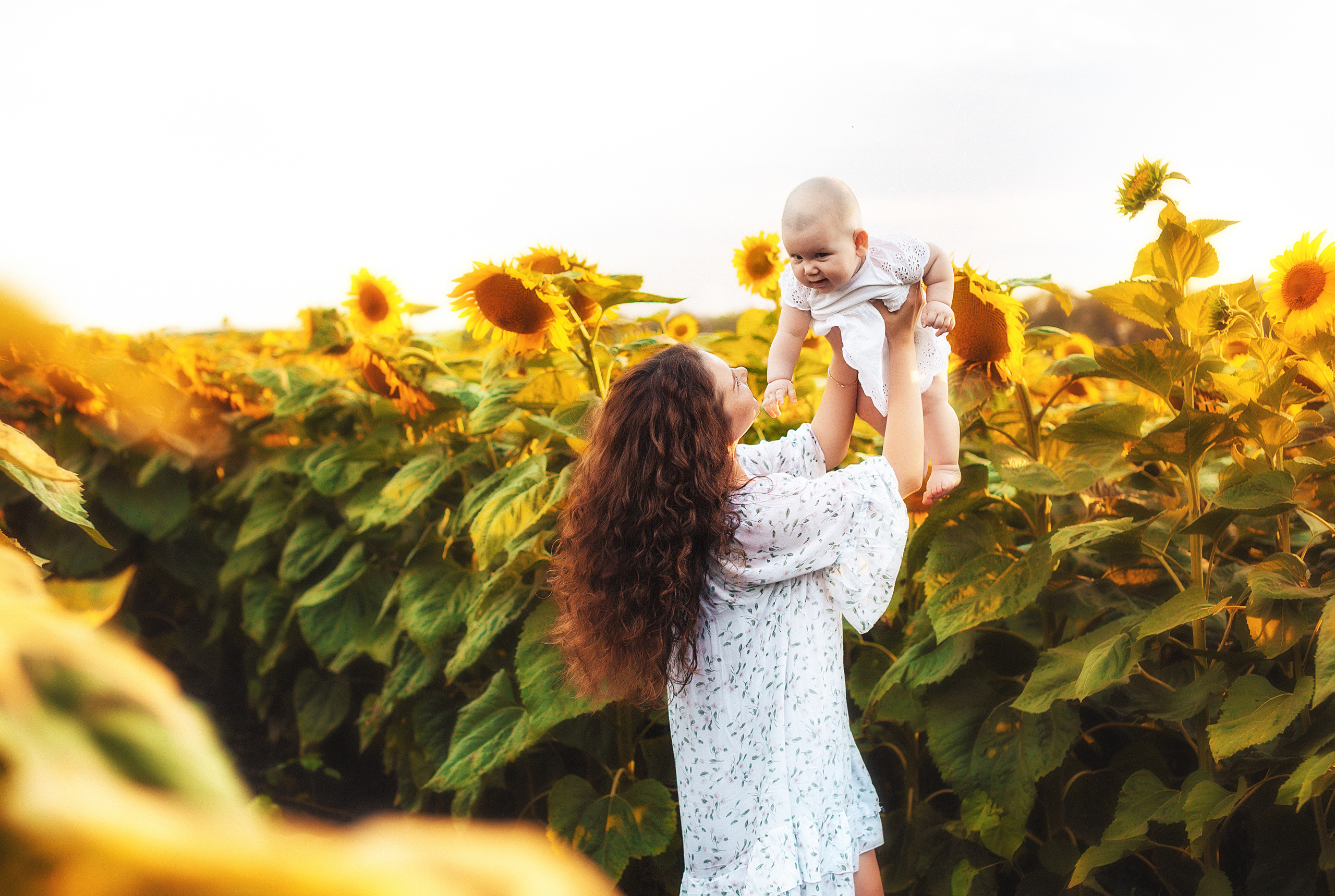 Семейная в подсолнухах. Свадебный и семейный фотограф/видеограф в Краснодаре Наталья Осинская