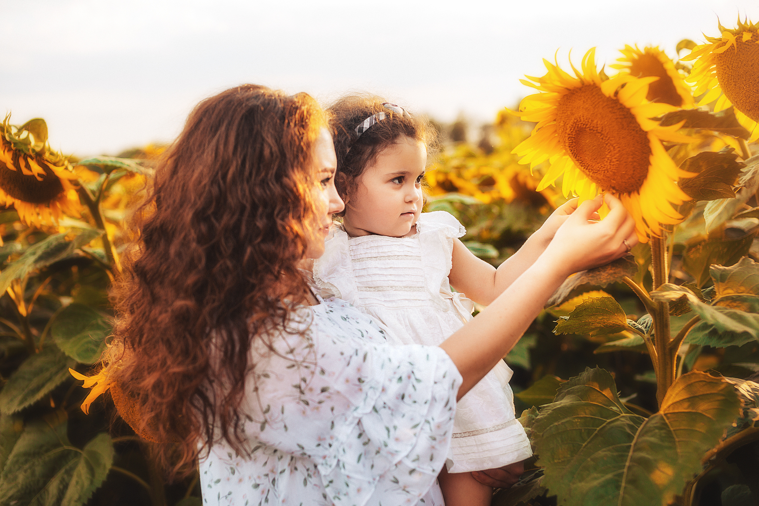 Семейная в подсолнухах. Свадебный и семейный фотограф/видеограф в Краснодаре Наталья Осинская