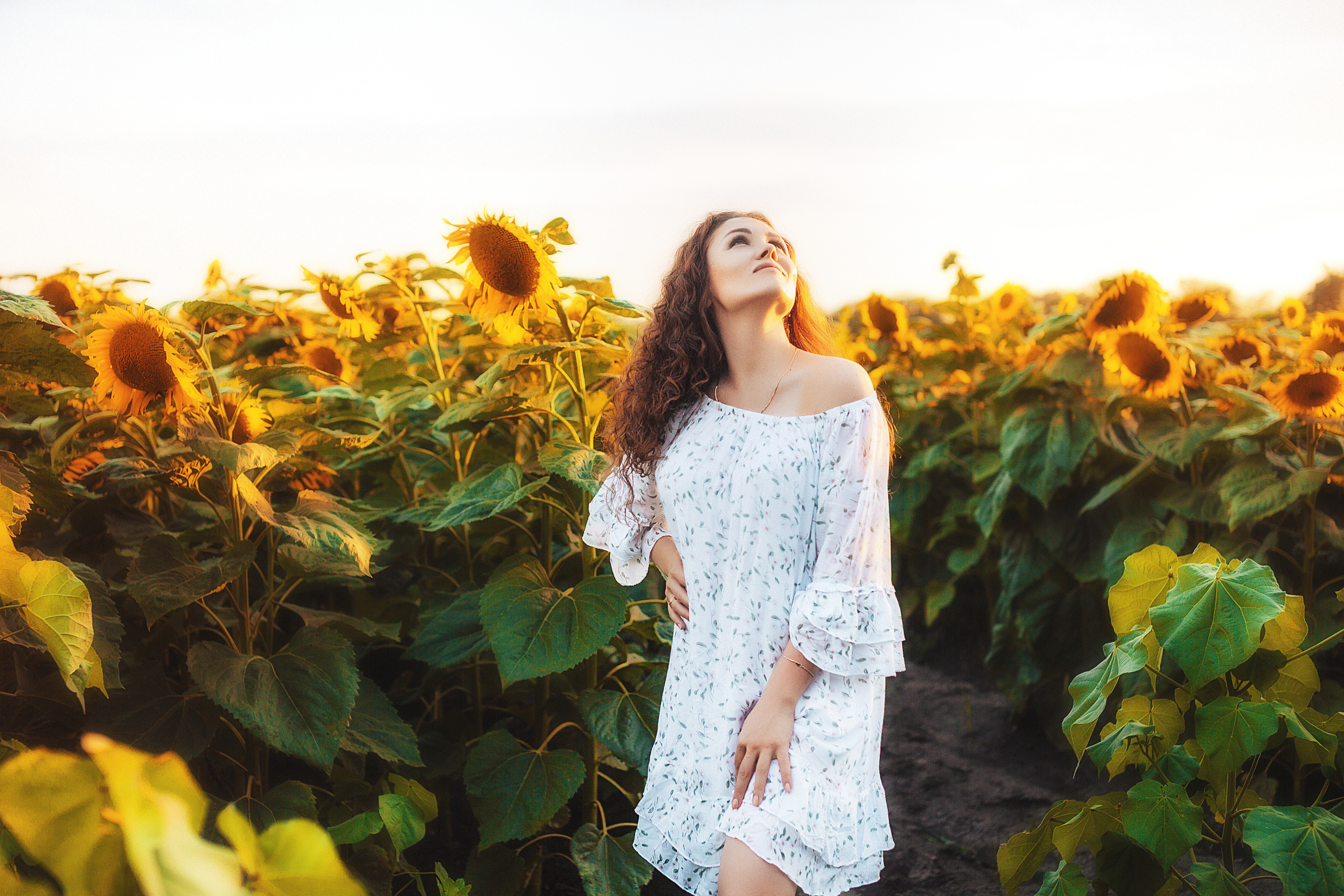 Семейная в подсолнухах. Свадебный и семейный фотограф/видеограф в Краснодаре Наталья Осинская