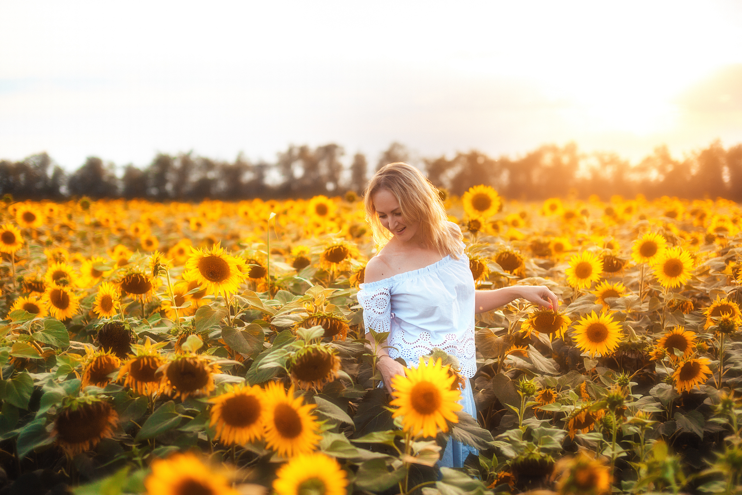 В подсолнухах. Свадебный и семейный фотограф/видеограф в Краснодаре Наталья Осинская