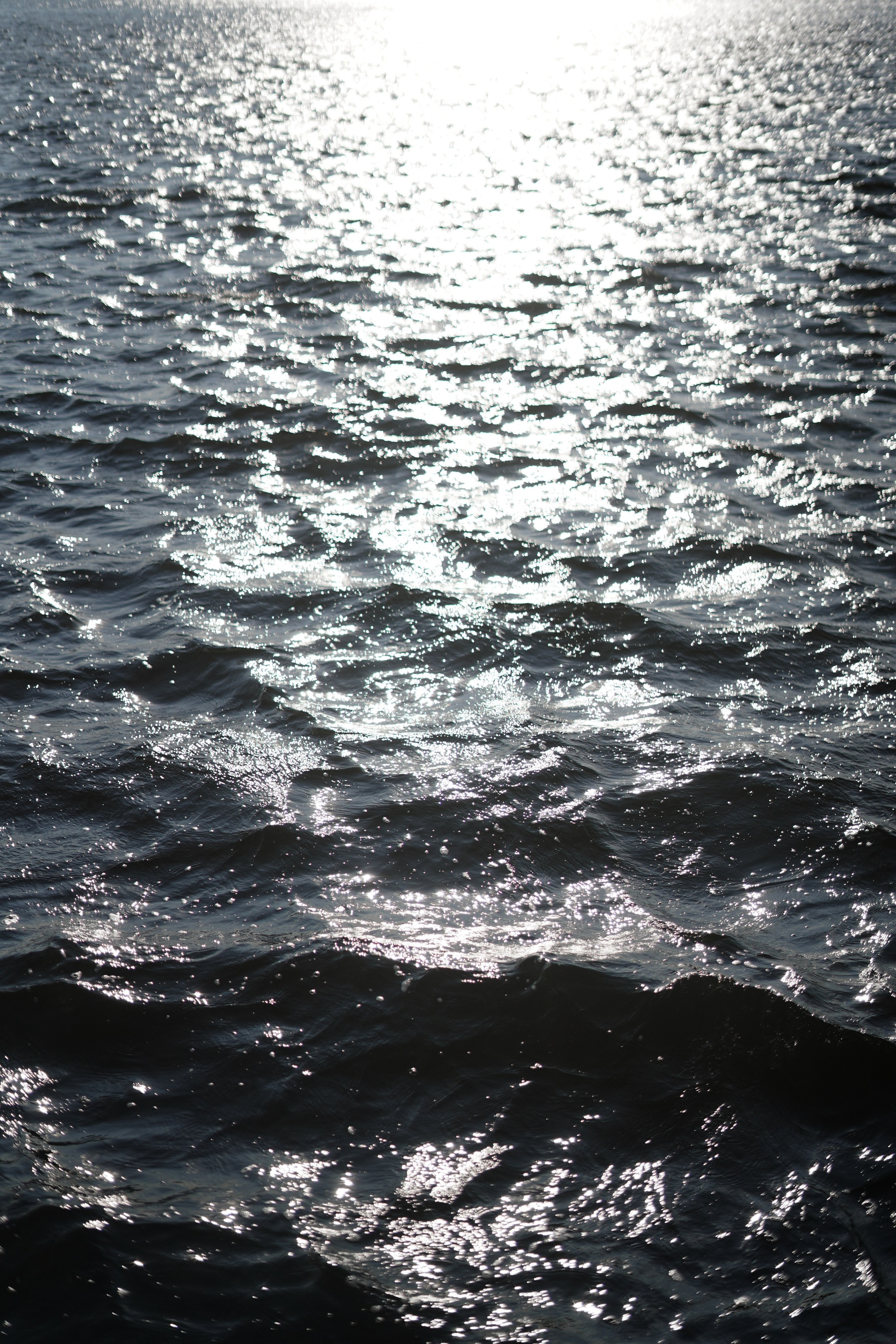 Мокровы. Фотограф Валерия Крахмалева