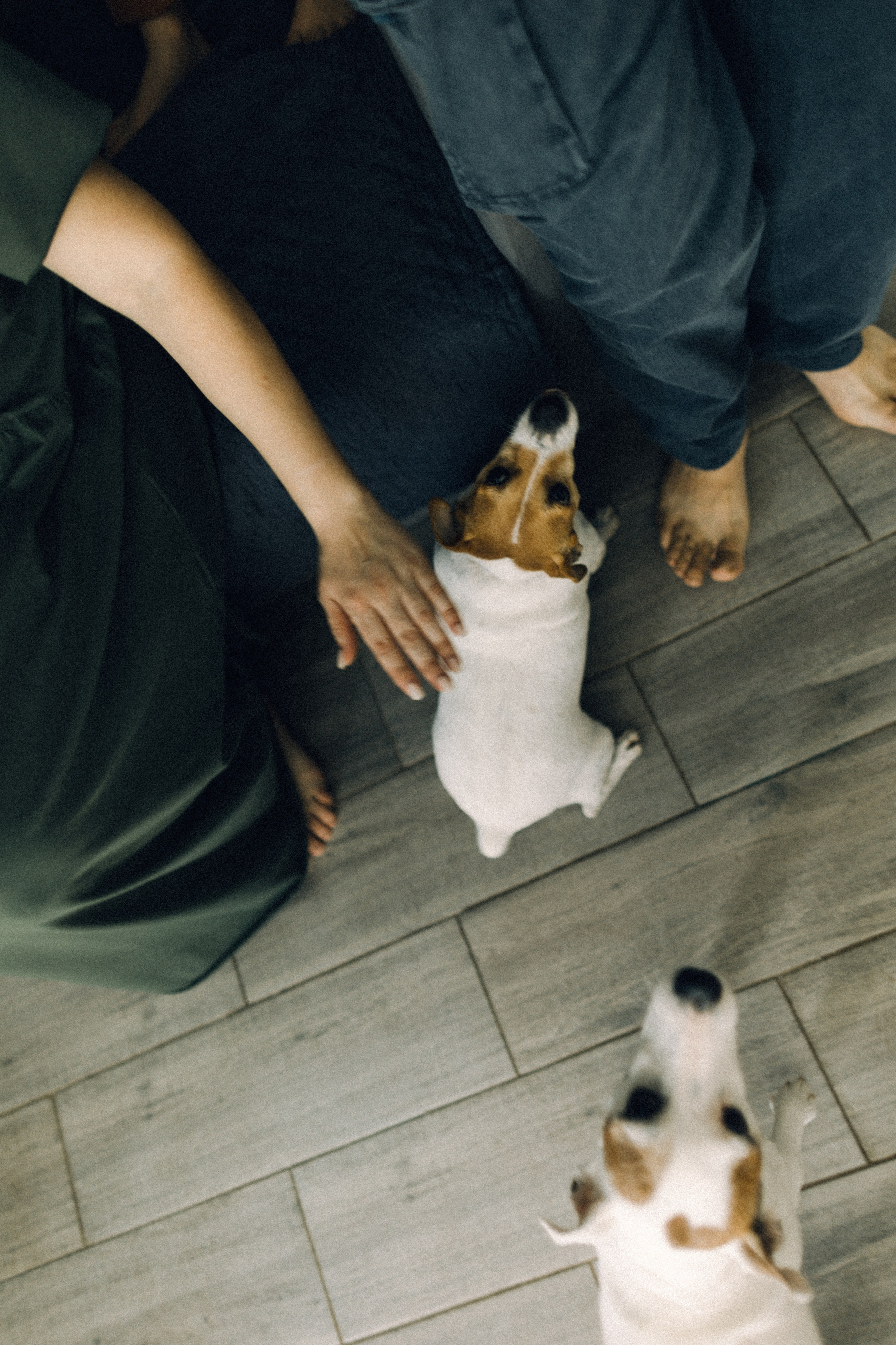 Юля Сергей Лика Артем. Семейный фотограф в Краснодаре Анна Пасик
