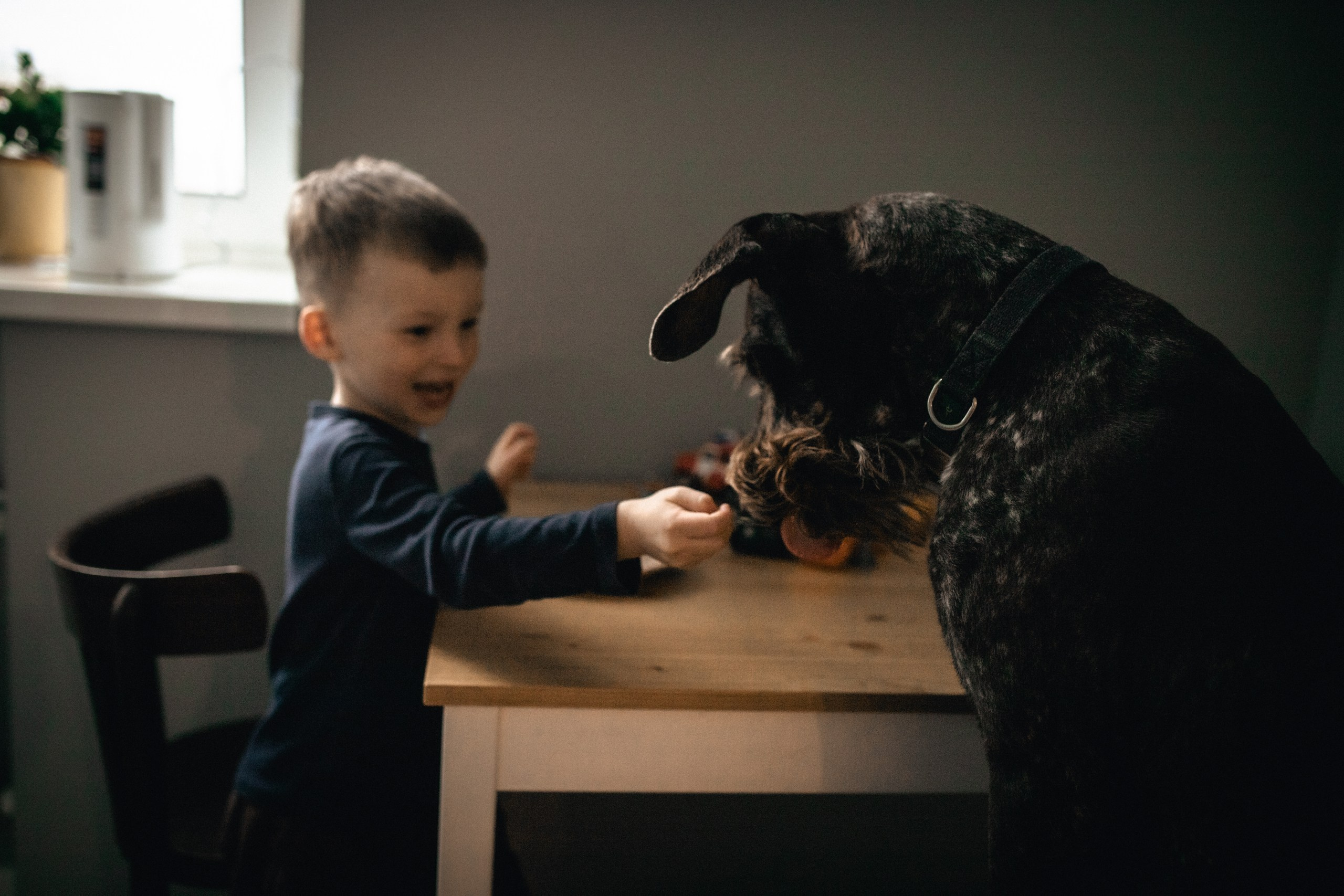 Домашние фотоссессии Всеволожск. Семейный и детский фотограф во Всеволосжке Людмила Квасова