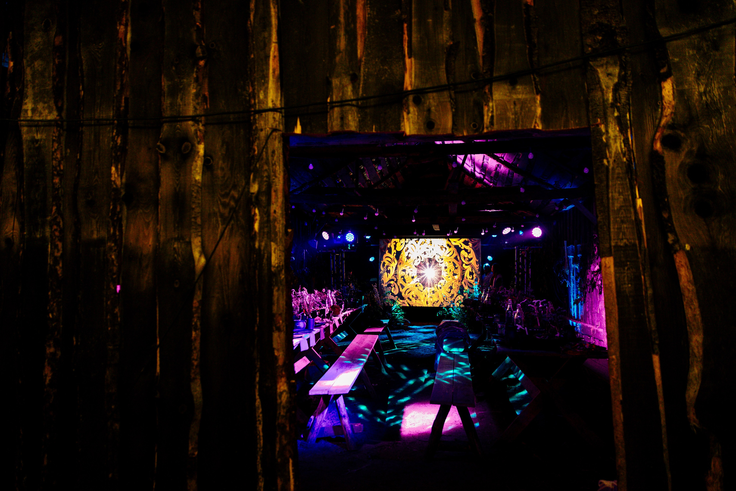 ХОЛОП -тематический праздник. Свадебный фотограф Минск РБ