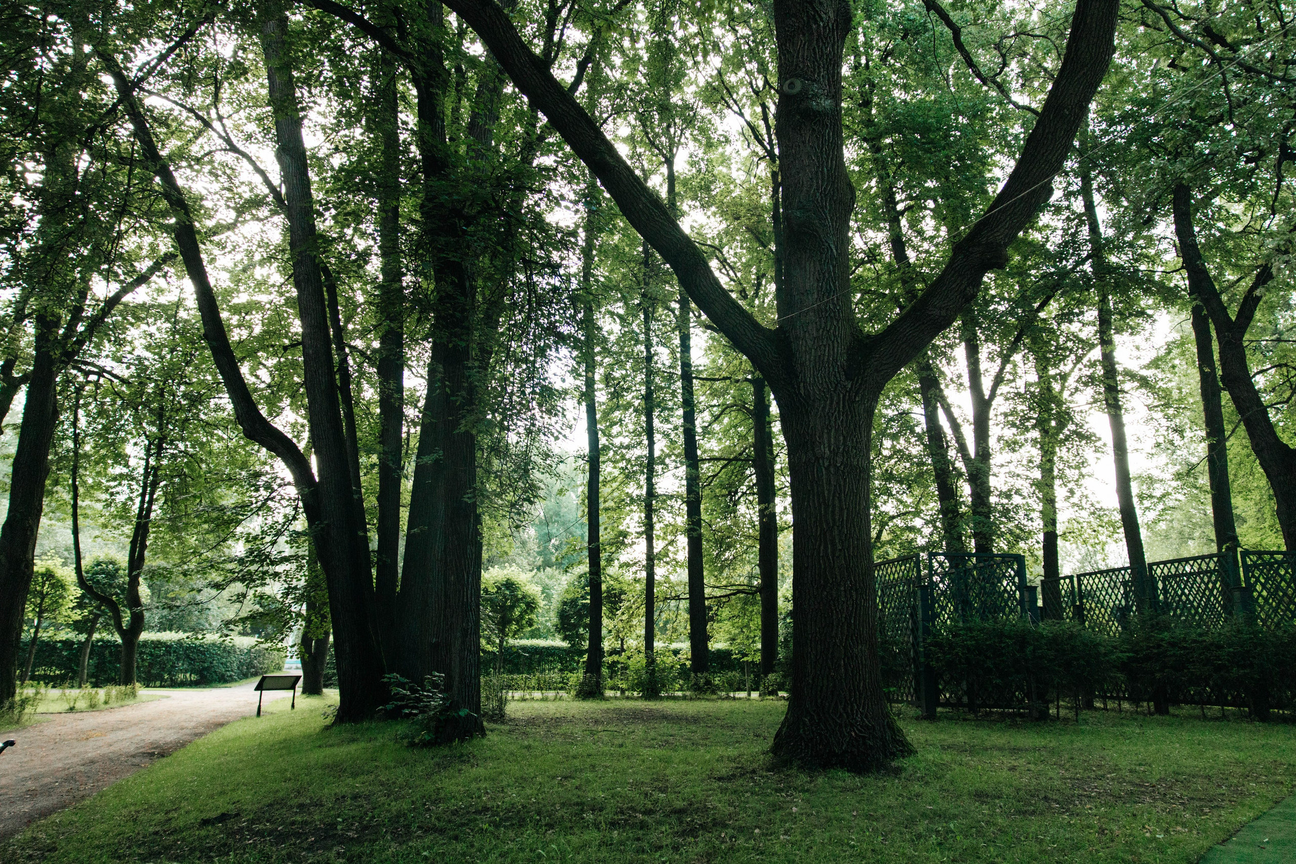 DANIEL & ANNA. Свадебное ФОТО & ВИДЕО Москва/Липецк