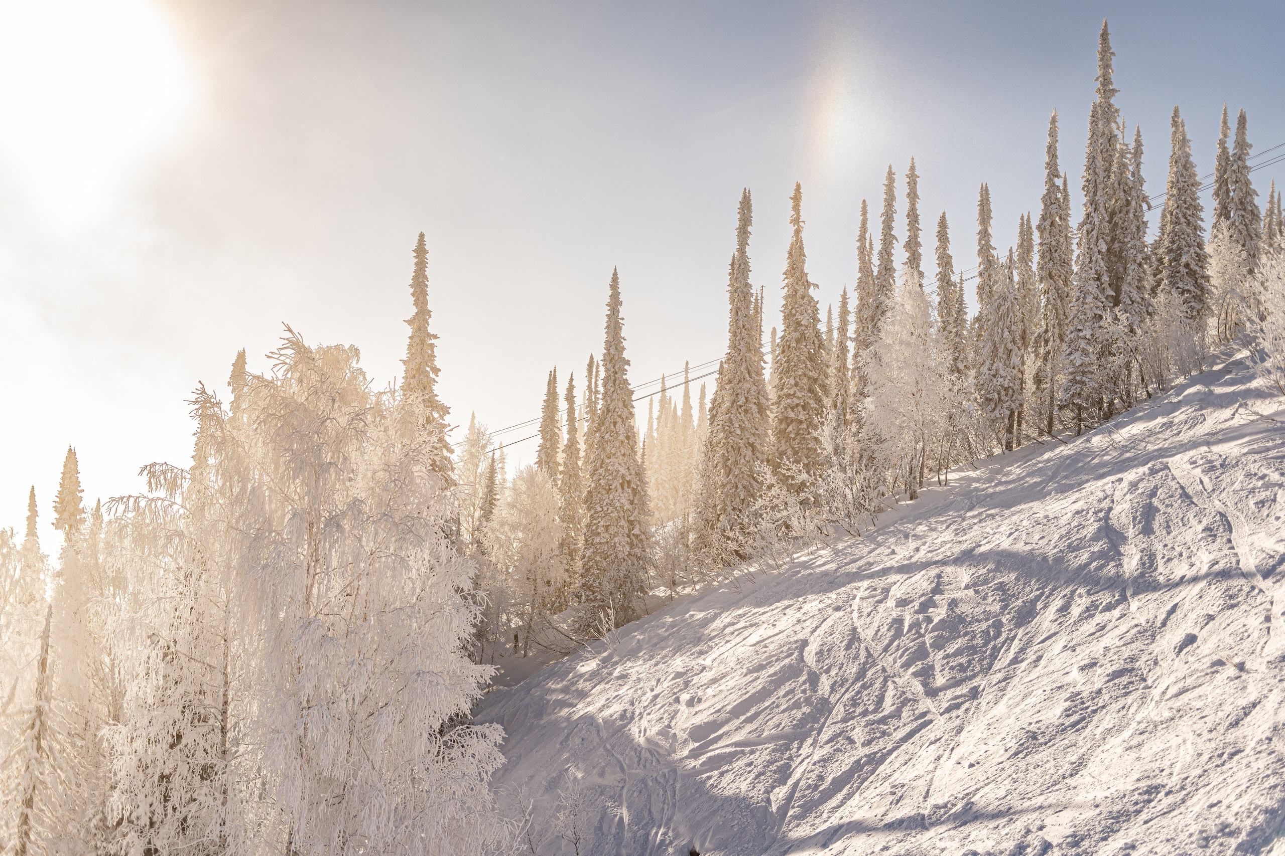 Джой 6.12. Анастасия Паршукова — фотограф Шерегеш Новосибирск