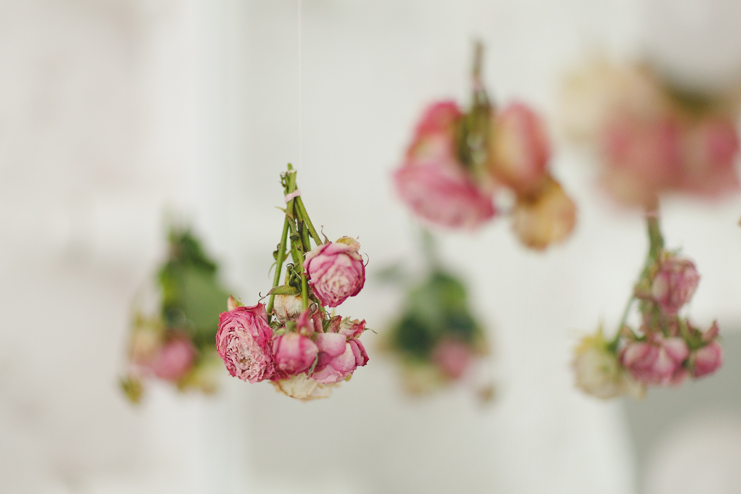 Проект «366»|2024|Фото каждый день. LENA GRACE photographer ||ЛЕНА ГРЭЙС фотограф