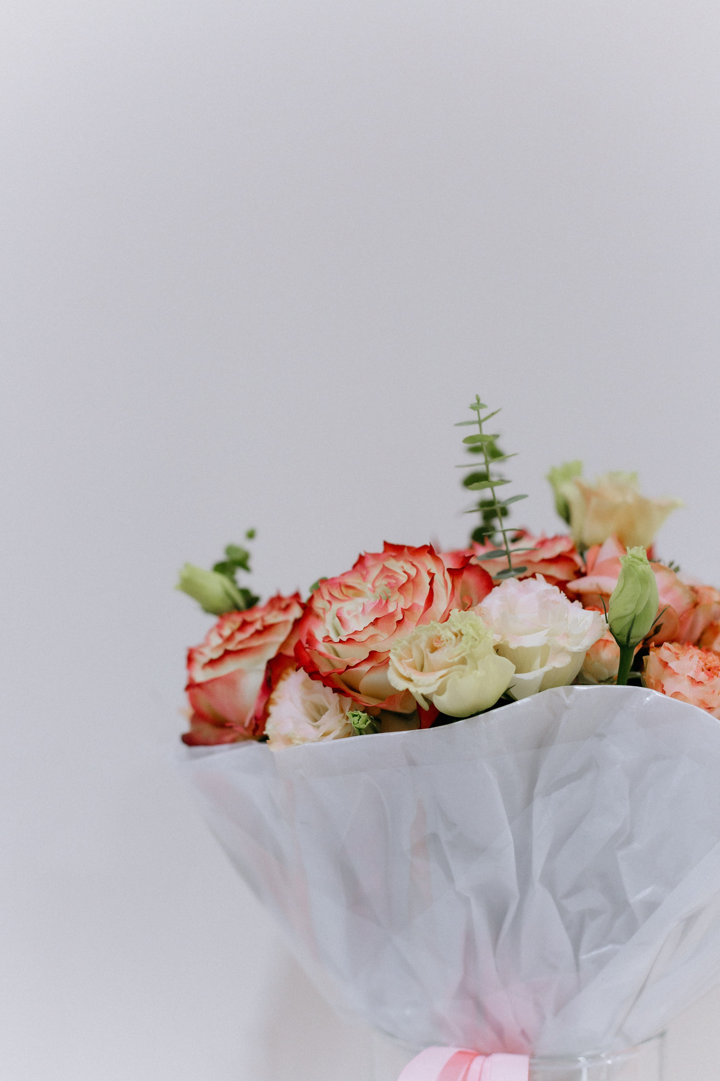 TOP BEAUTY — ОТКРЫТИЕ. СВОИ. ФОТООТЧЕТЫ-СОБЫТИЯ-МЕСТА