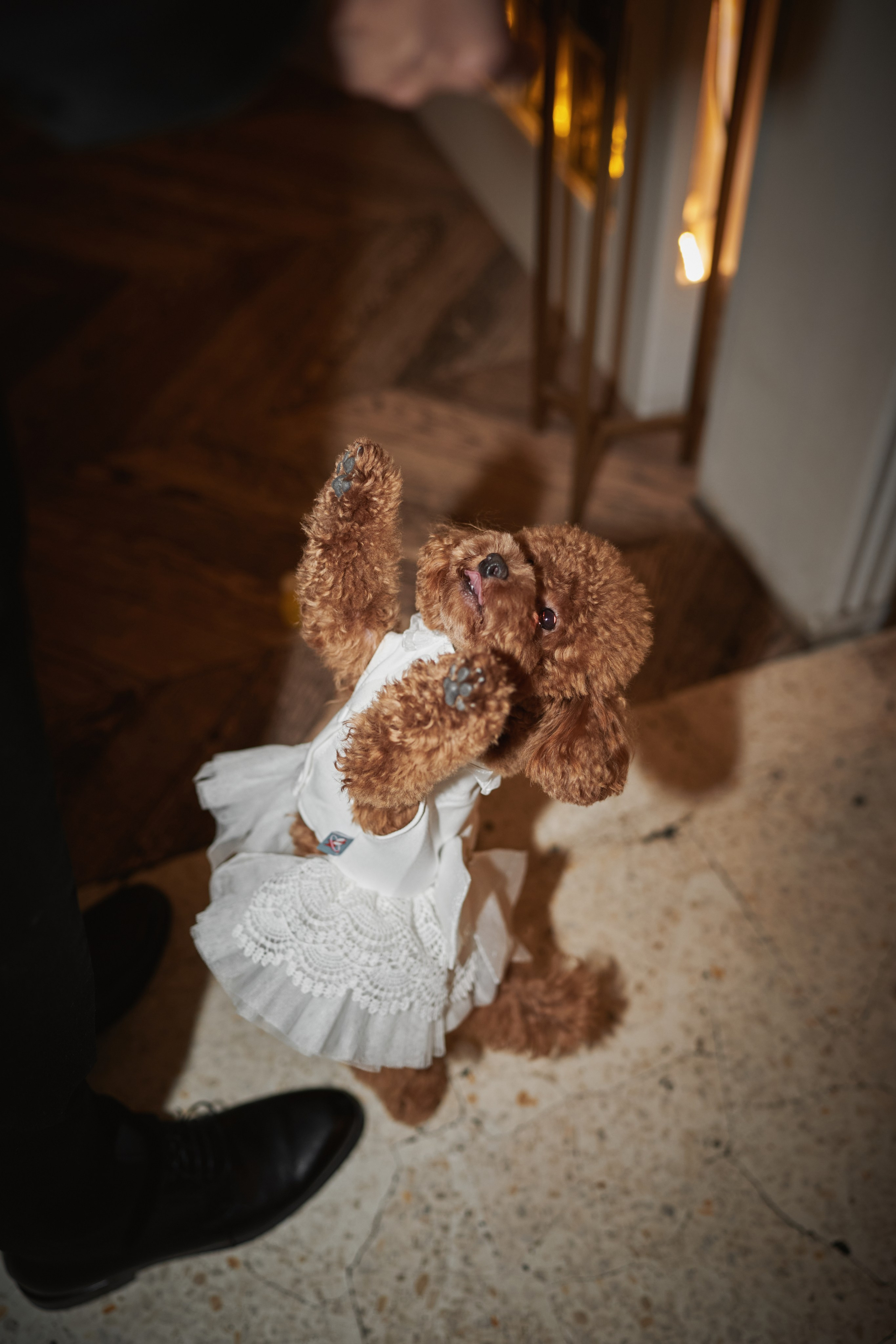 Аня и Дима. Фотограф в Санкт-Петербурге | Аня Маленчук