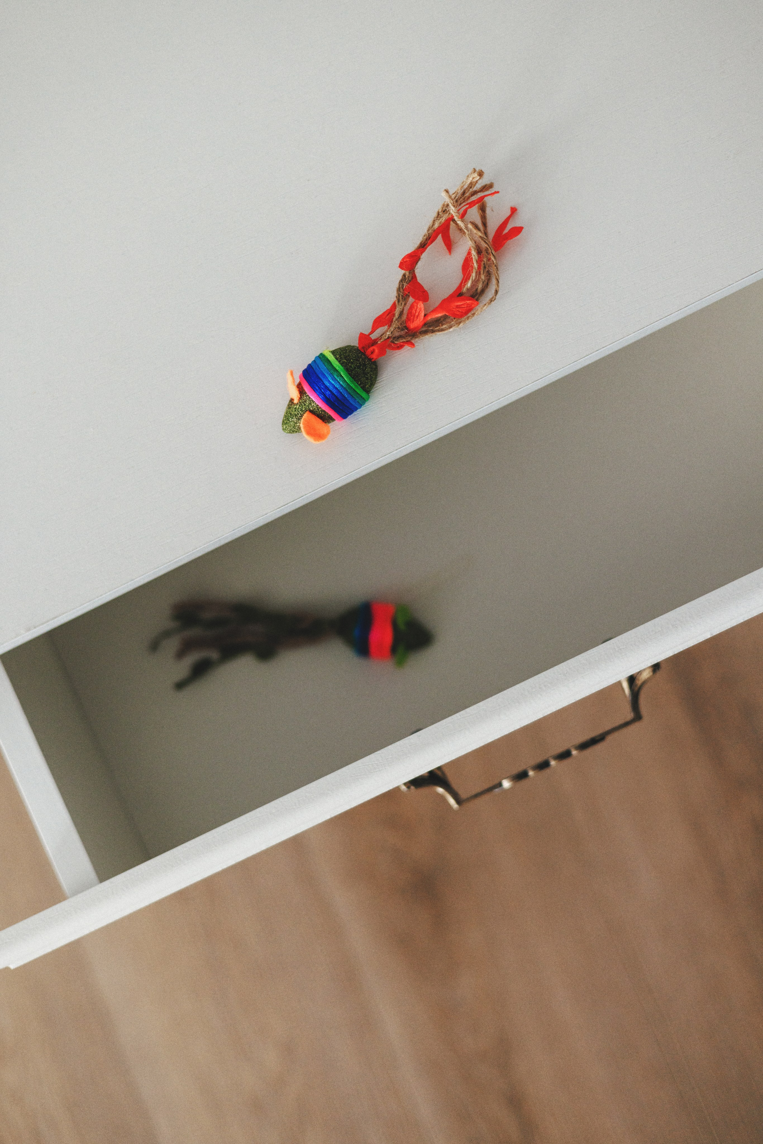 Товары для питомцев M-Pets & Petbiology. Фотограф анималист Осипчикова Мария