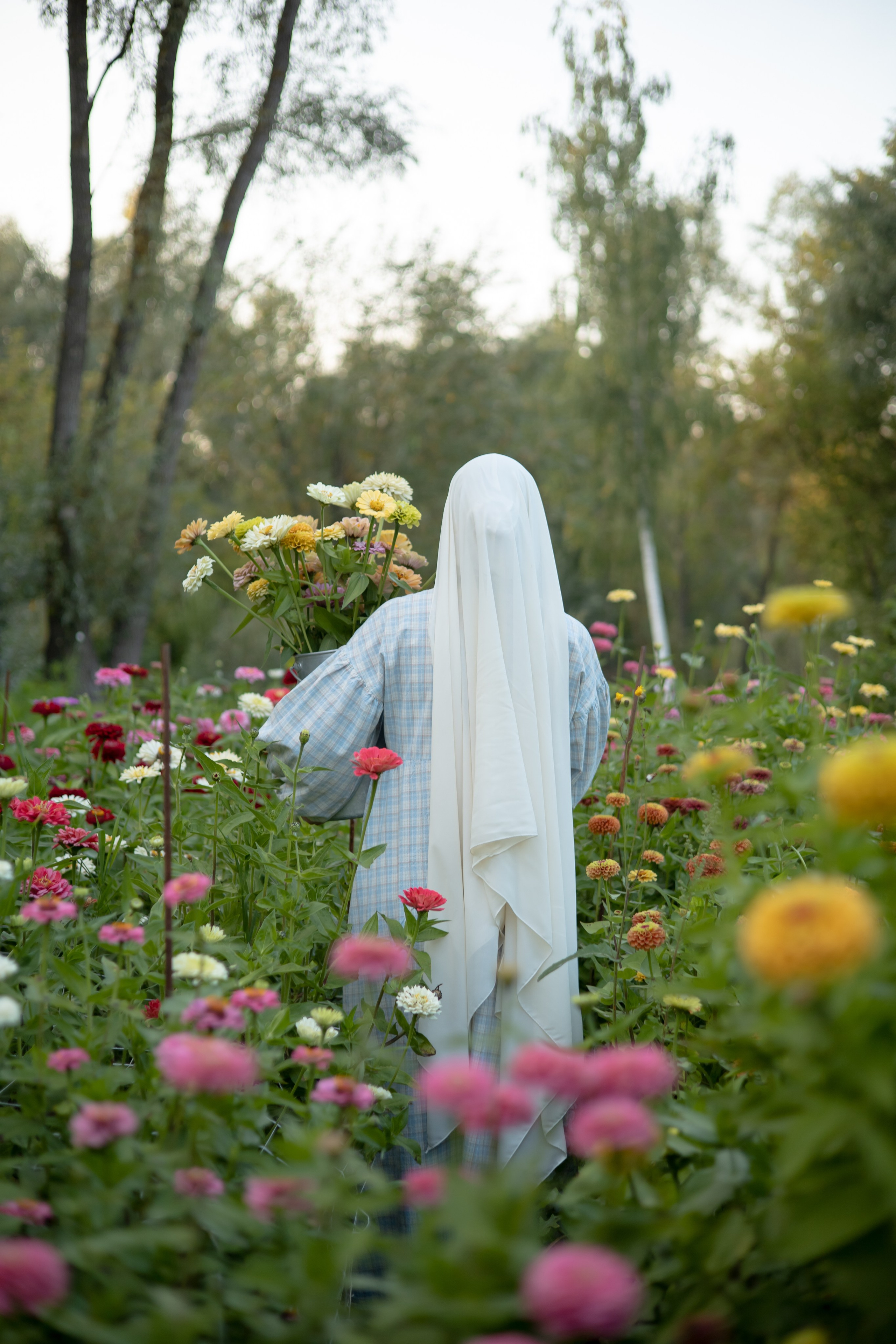 ДИНИЯ. Фотограф Элла Ефимова