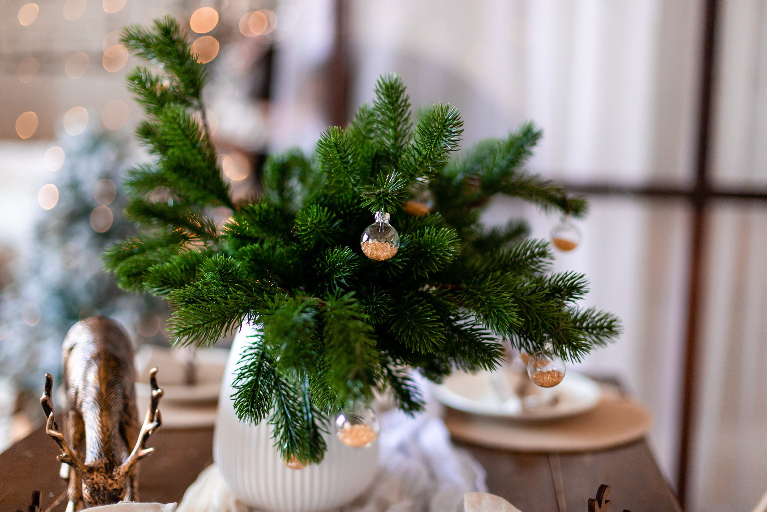Семейная Новогодняя фотосессия. Семейный и детский фотограф в Хабаровске Алевтина Проскурякова