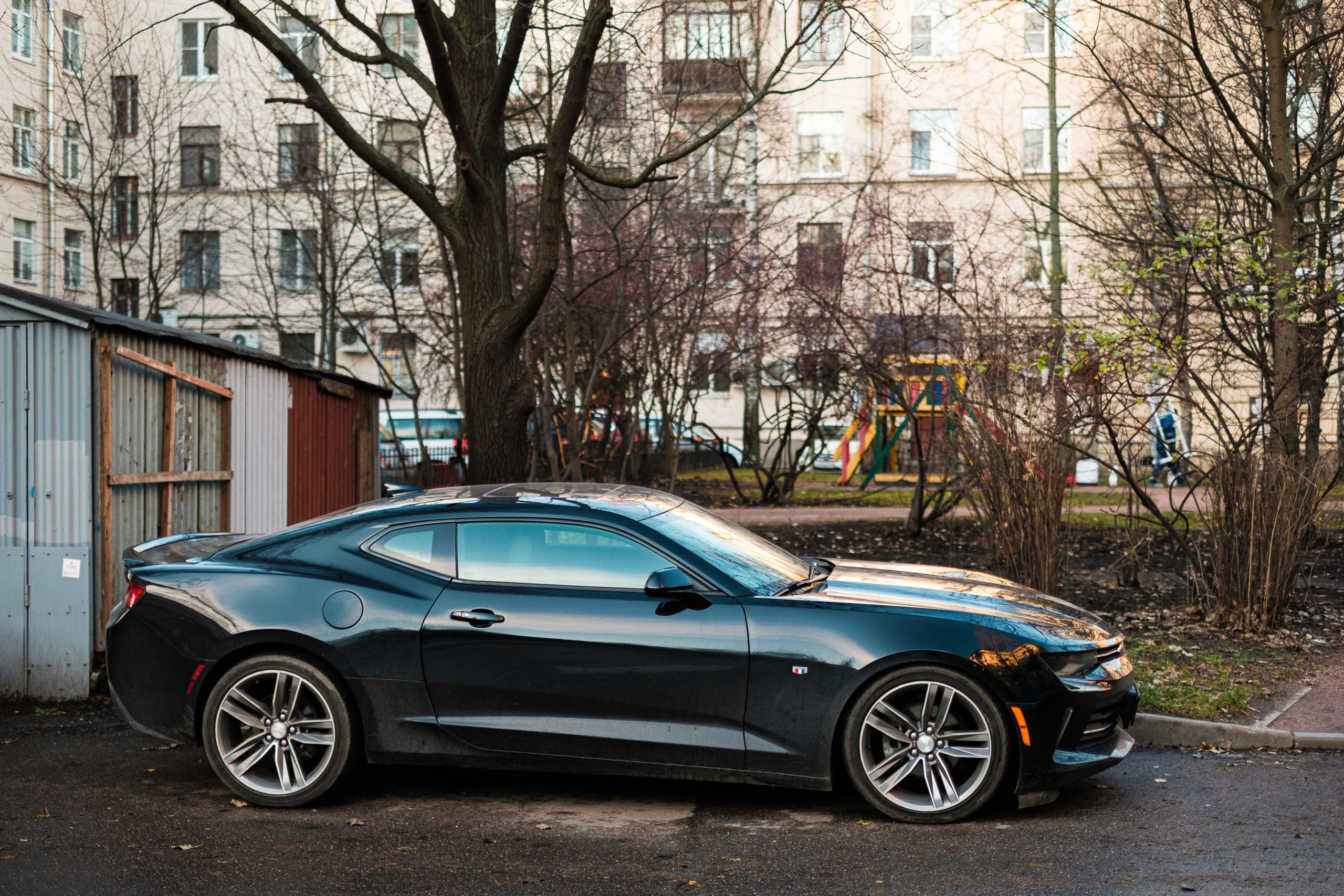 2021.11. Фотограф Алексей Алексеев