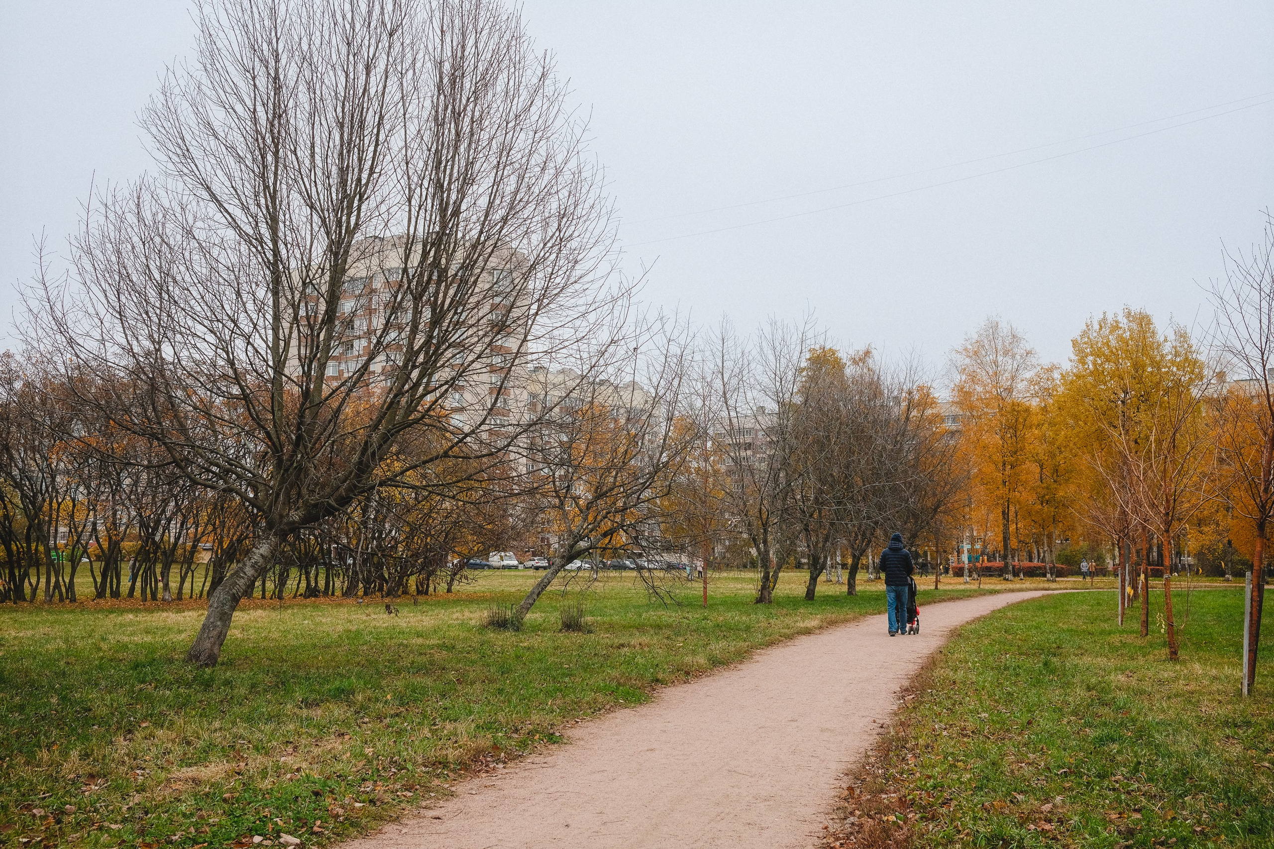 2022.10. Фотограф Алексей Алексеев