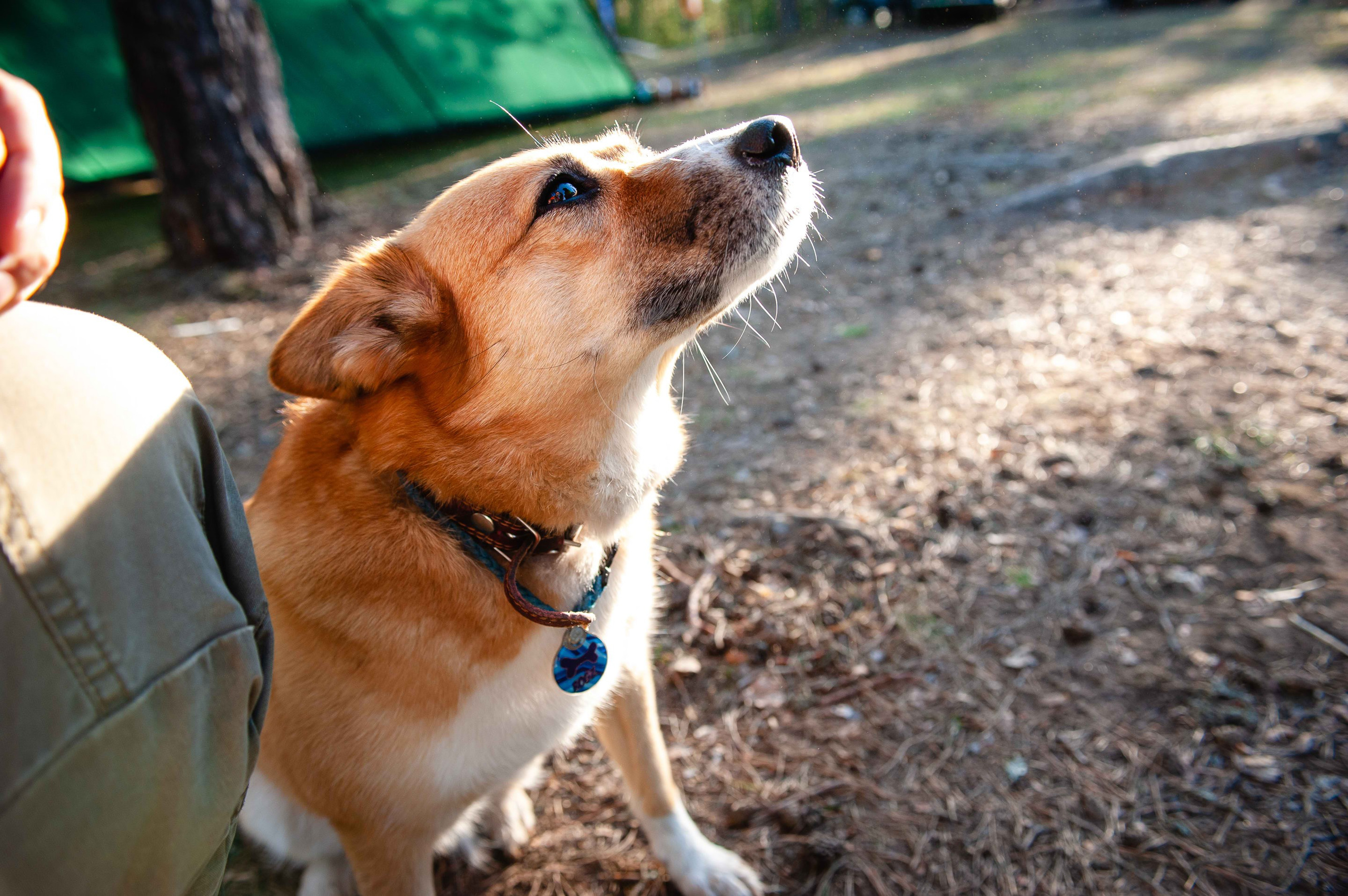 2022.05.13-15 — Чемпионат СЗФО по трофи-рейдам — 1 день, базлаг и техком. Фотограф Алексей Алексеев