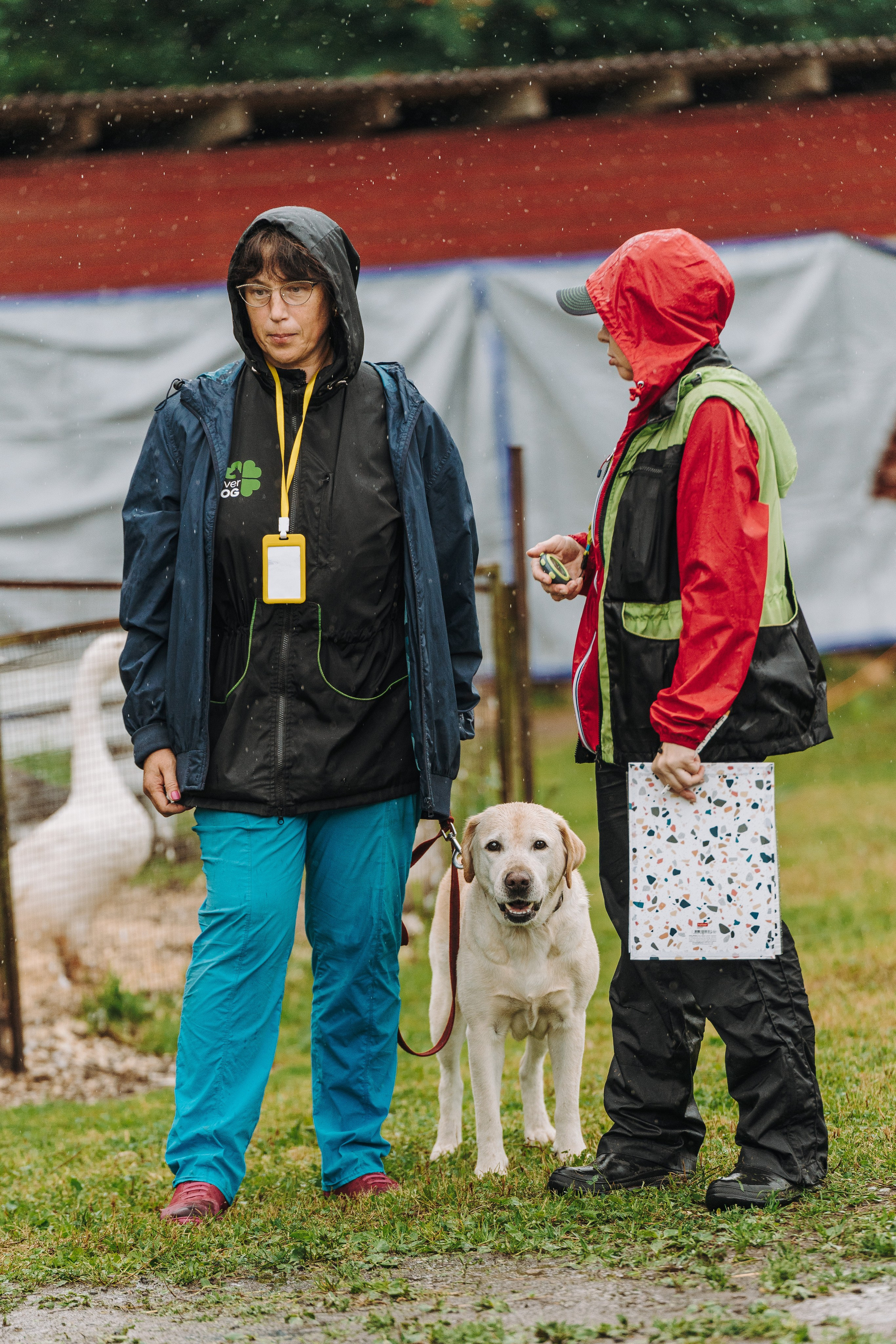 Соревнования по ноузворку в Новожилово. Фотограф анималист в Спб недорого Олеся Майорова