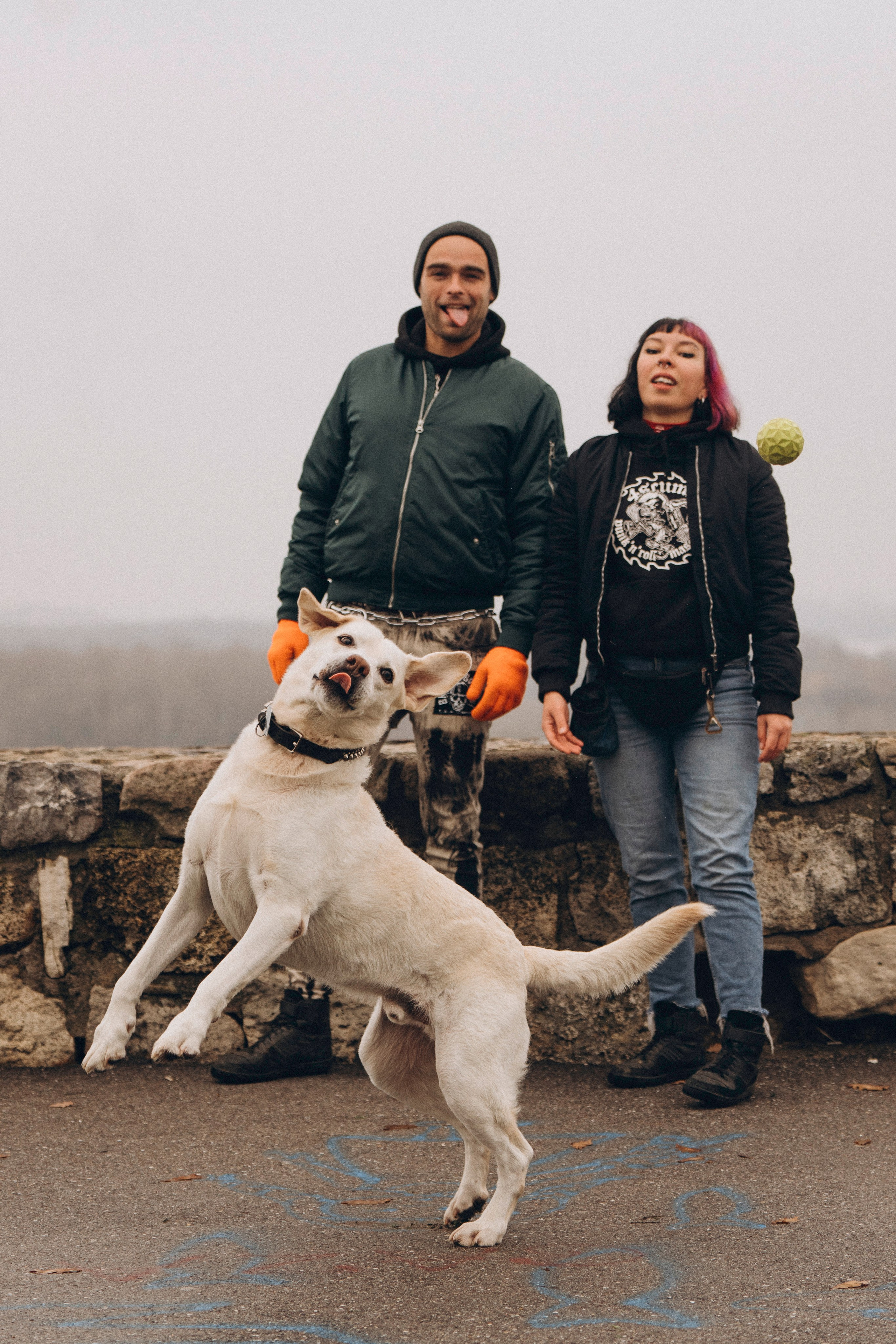 Вати, Лена и Леван. Фотограф анималист в Спб недорого Олеся Майорова