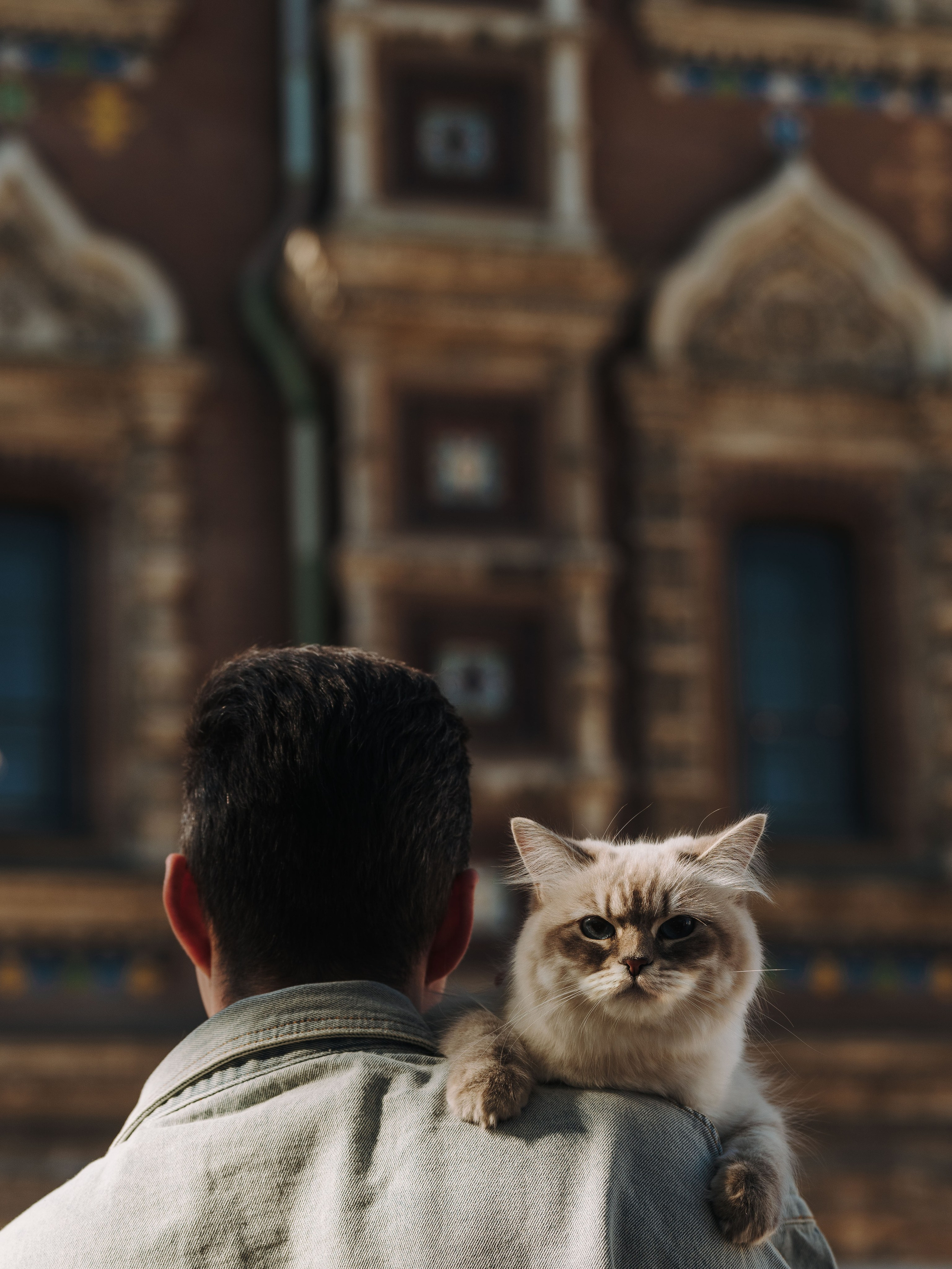 Сильвия, Полина и Никита. Фотограф анималист в Спб недорого Олеся Майорова