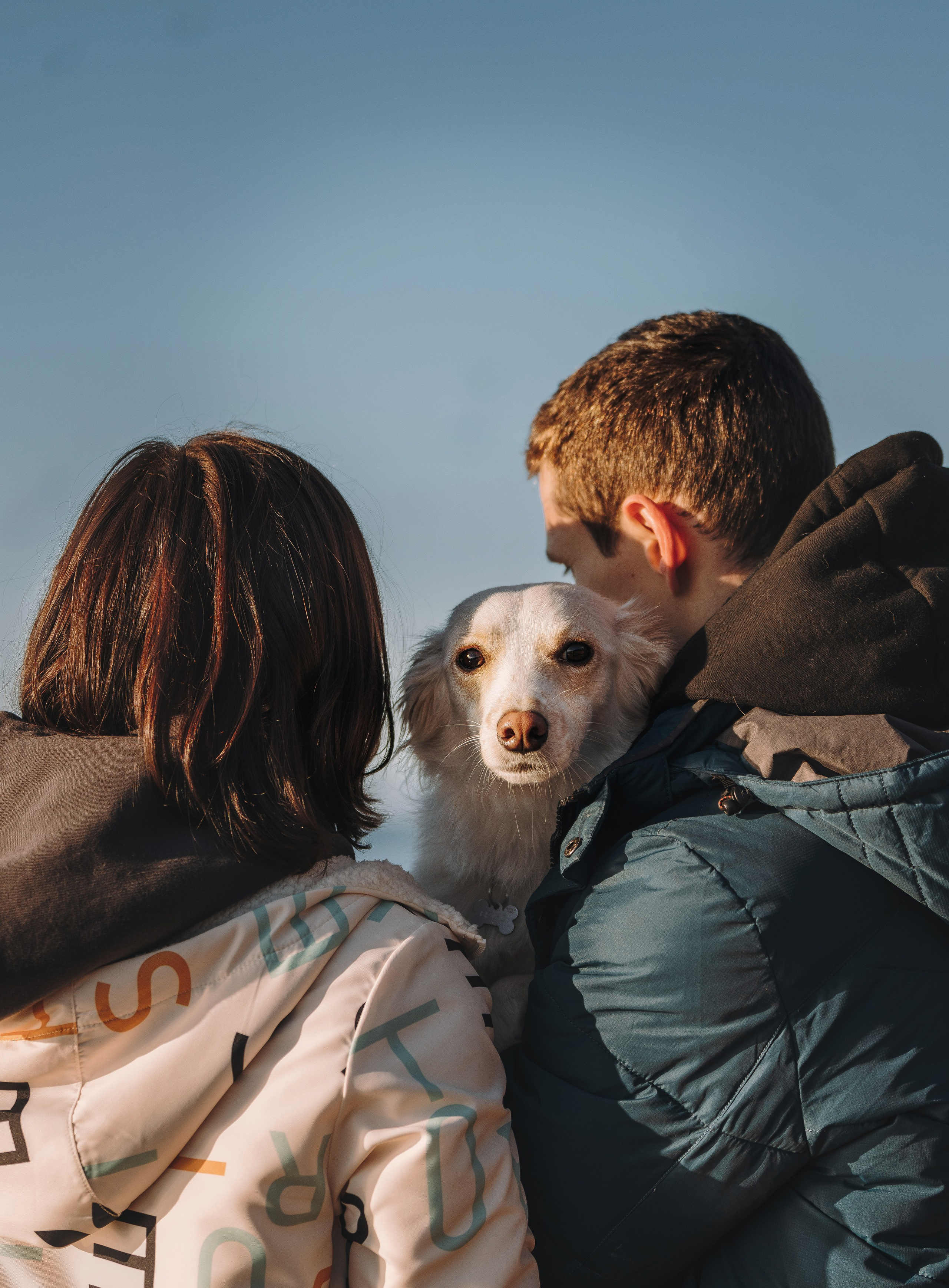 Бруно, Алена и Антон. Фотограф анималист в Спб недорого Олеся Майорова