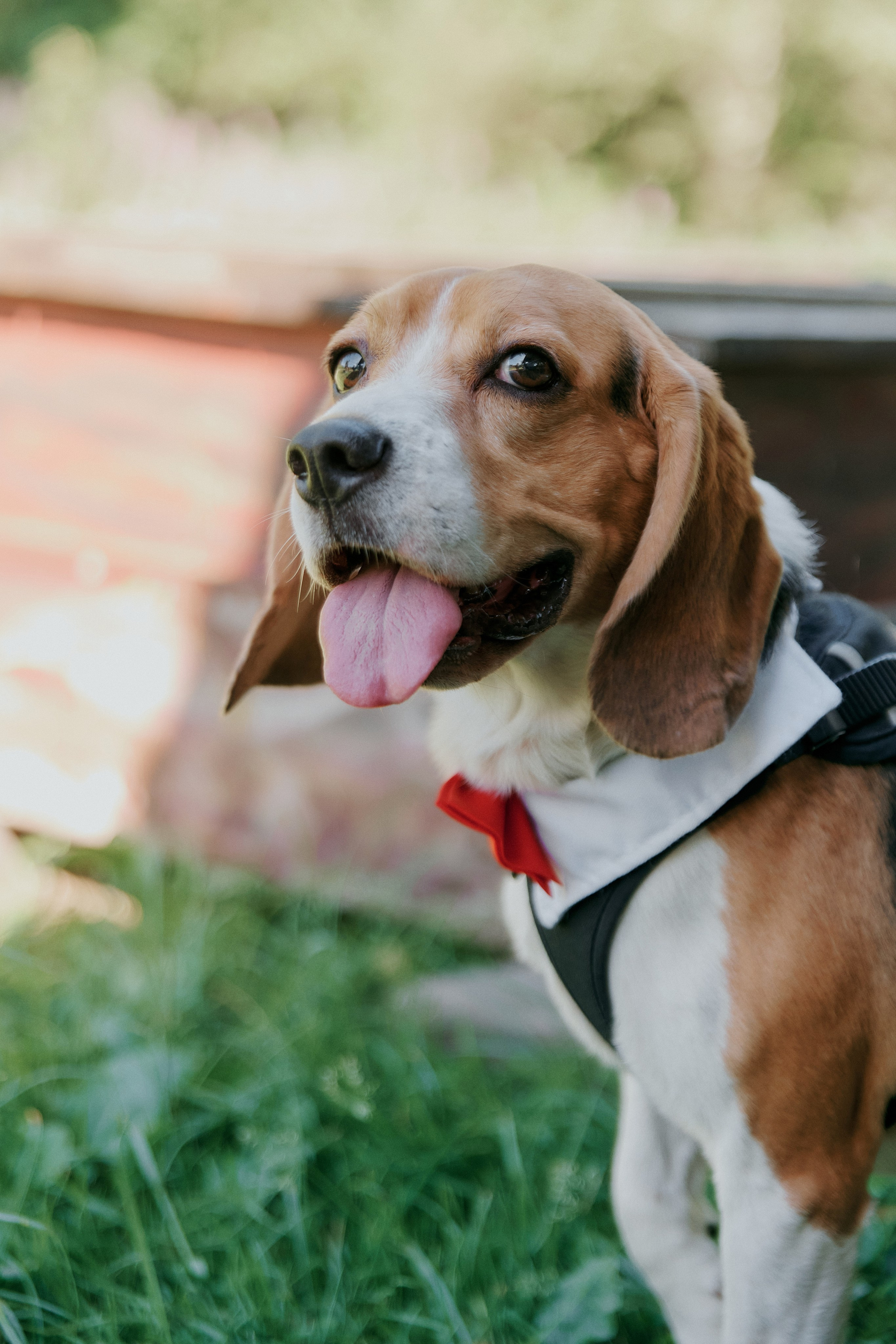 НИКИТА & АНАСТАСИЯ. ФОТОГРАФ Кристина Павлова | МОСКВА