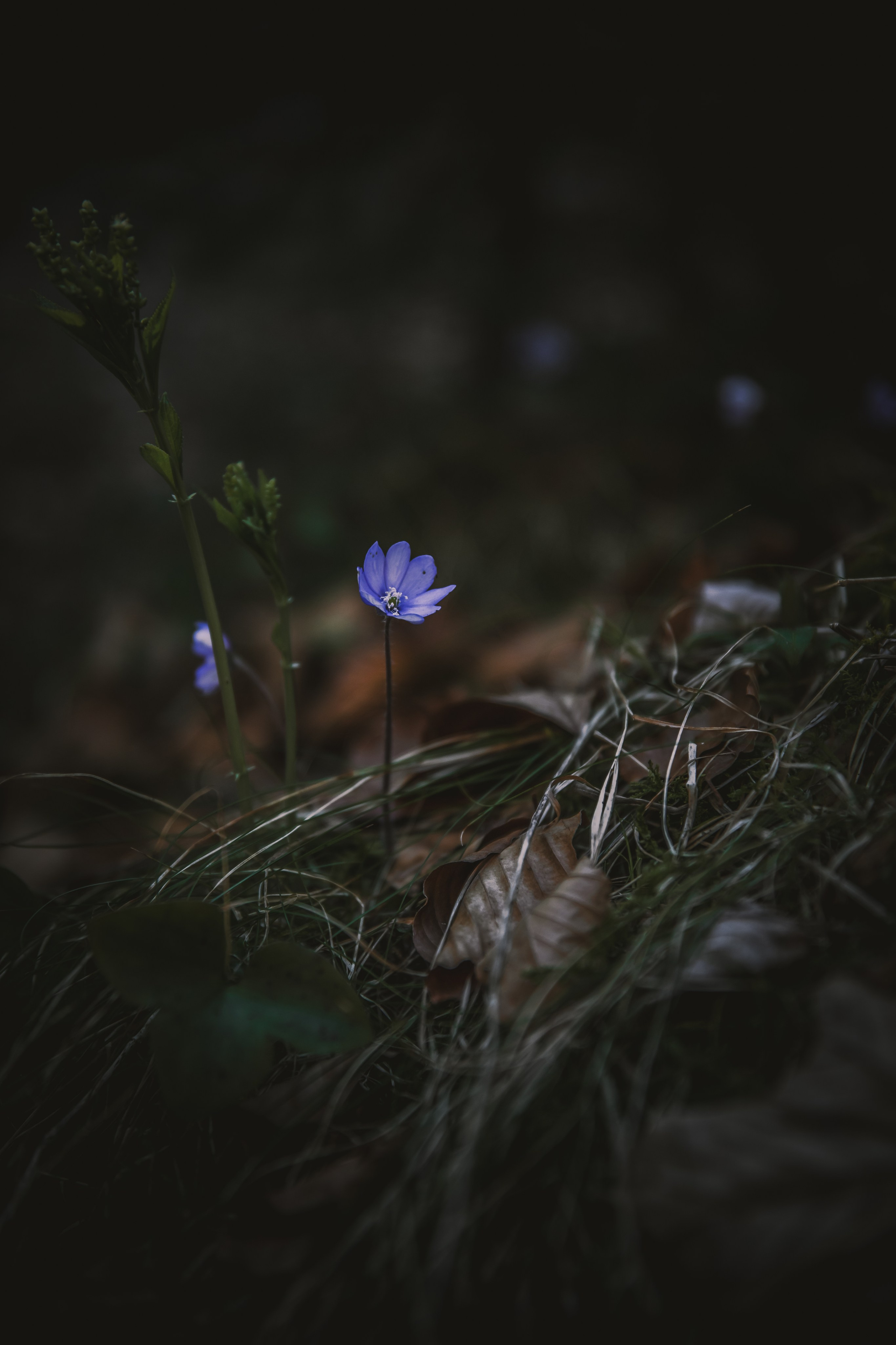 TRAVEL&NATURE. NE Cinema — backstage and reportage photography in cinema, music, Automotive and sport