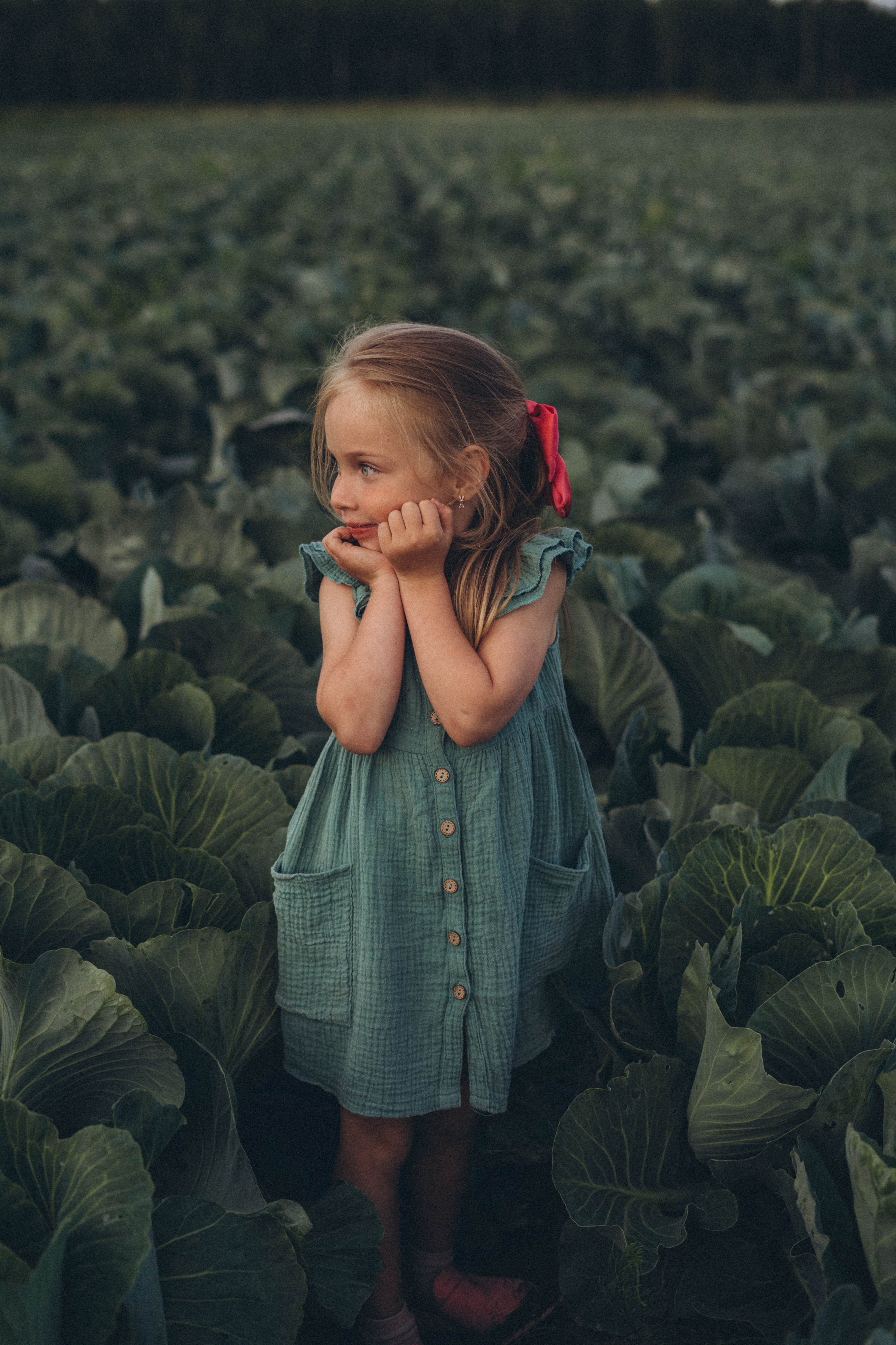 Капуста. Фотограф СПб. Фотопрогулки. Меркулова Юлия