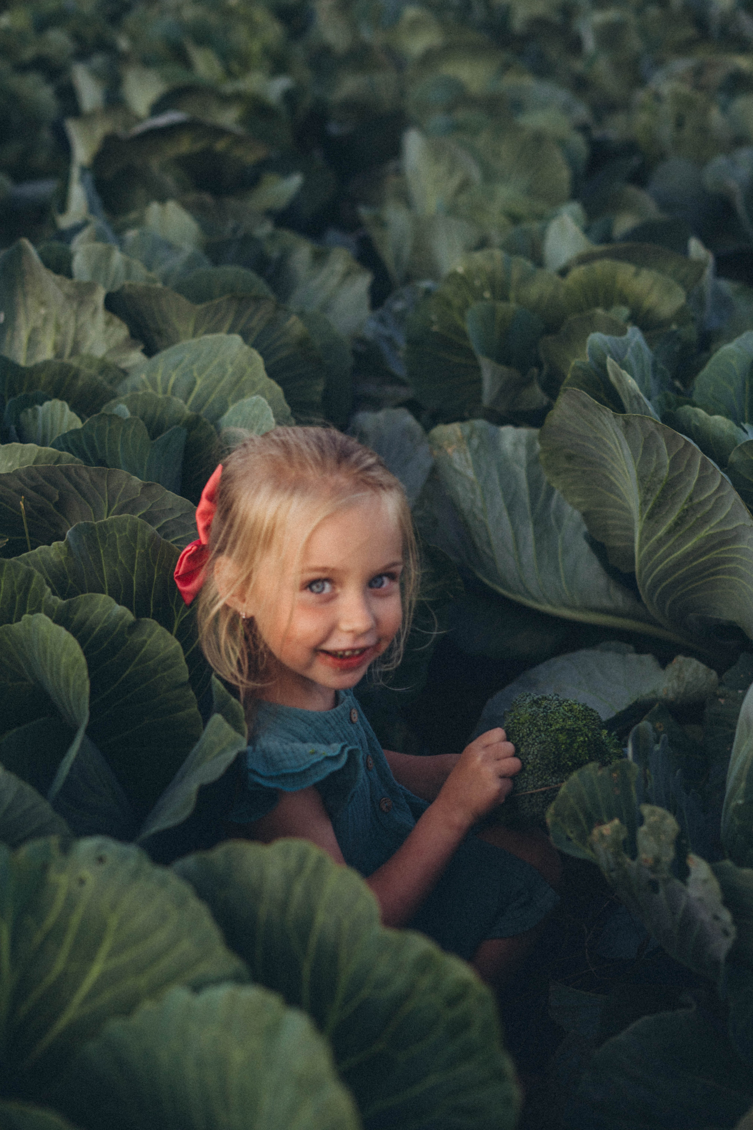 Капуста. Фотограф СПб. Фотопрогулки. Меркулова Юлия