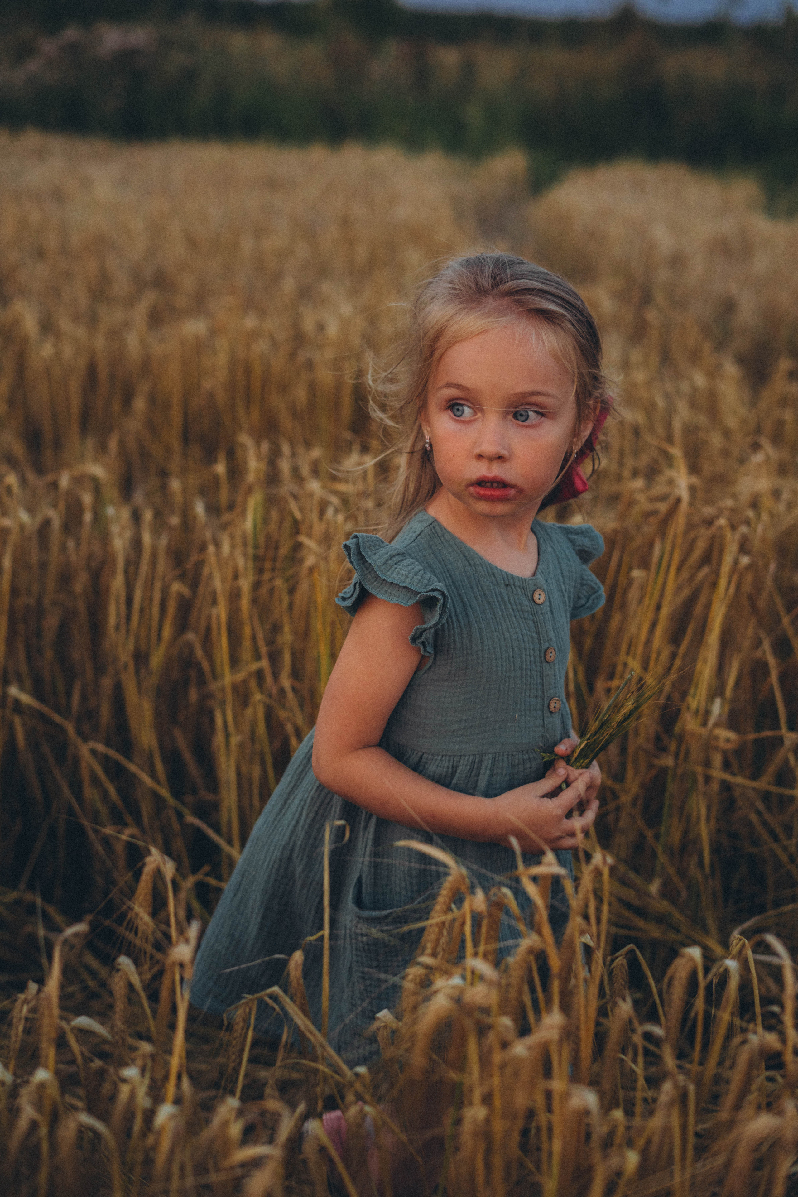 Пшеница. Фотограф СПб. Фотопрогулки. Меркулова Юлия