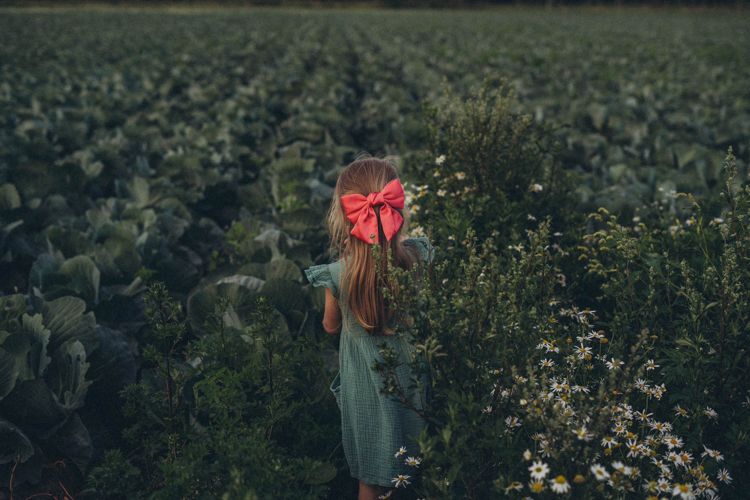 Капуста. Фотограф СПб. Фотопрогулки. Меркулова Юлия