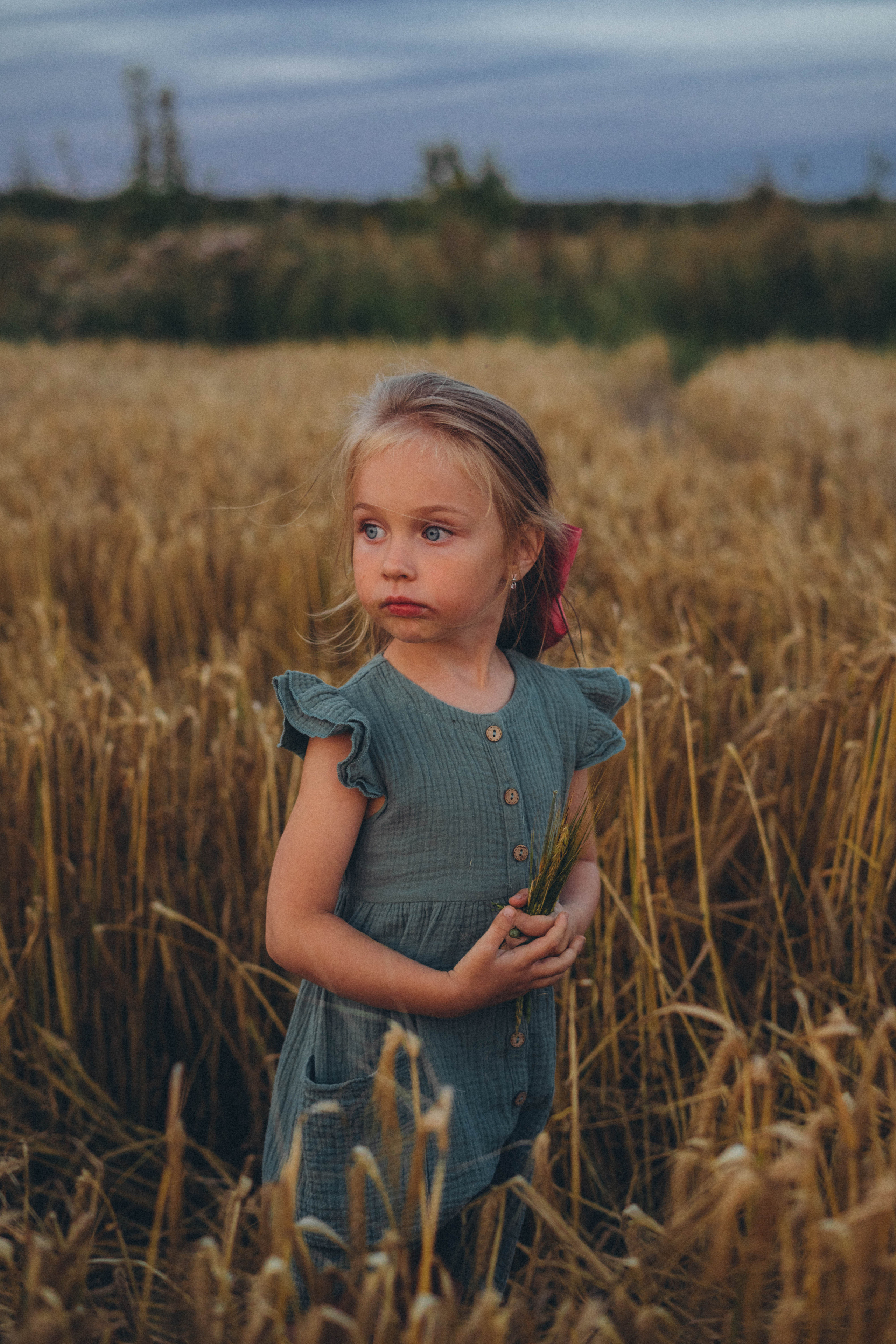Пшеница. Фотограф СПб. Фотопрогулки. Меркулова Юлия
