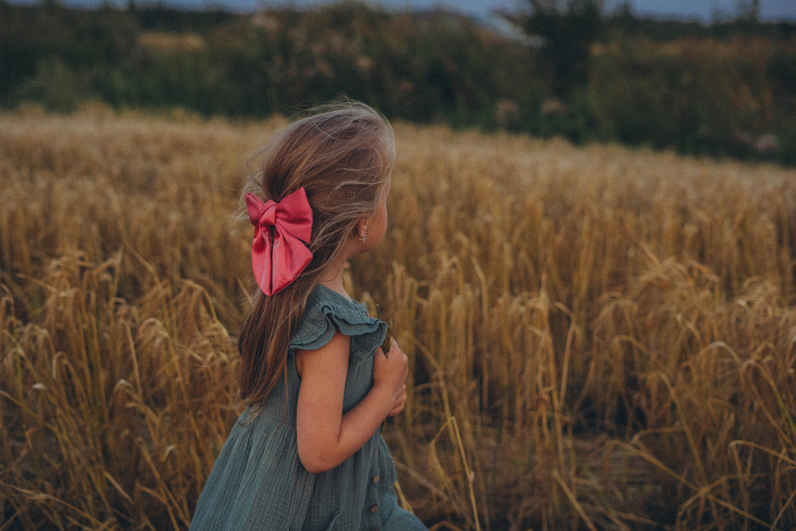 Пшеница. Фотограф СПб. Фотопрогулки. Меркулова Юлия